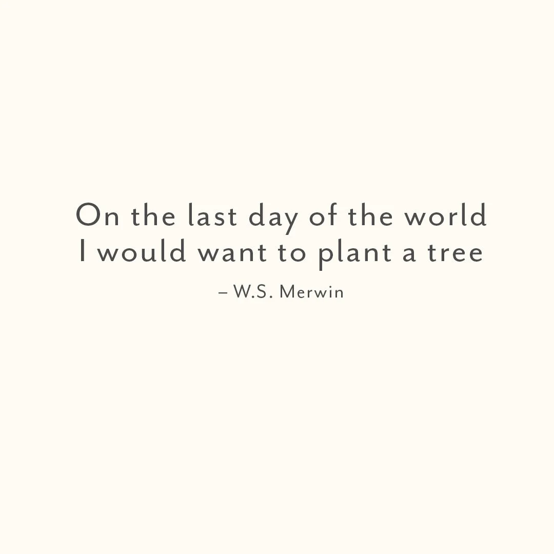 Inspirational quote by W.S. Merwin about planting a tree on the last day of the world, displayed on a light beige background.