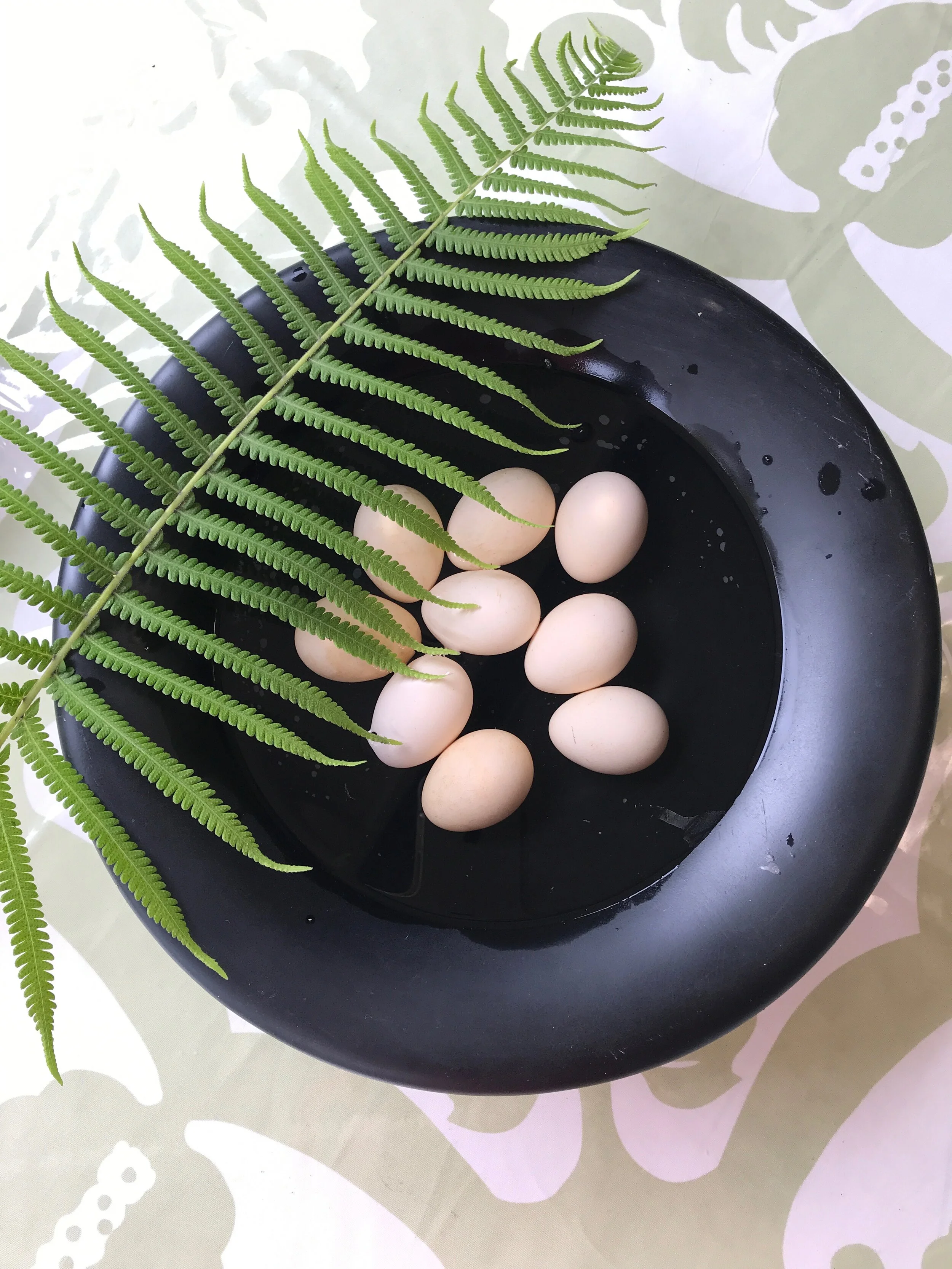 A black bowl with white eggs inside, garnished with a green fern leaf, placed on a patterned surface.