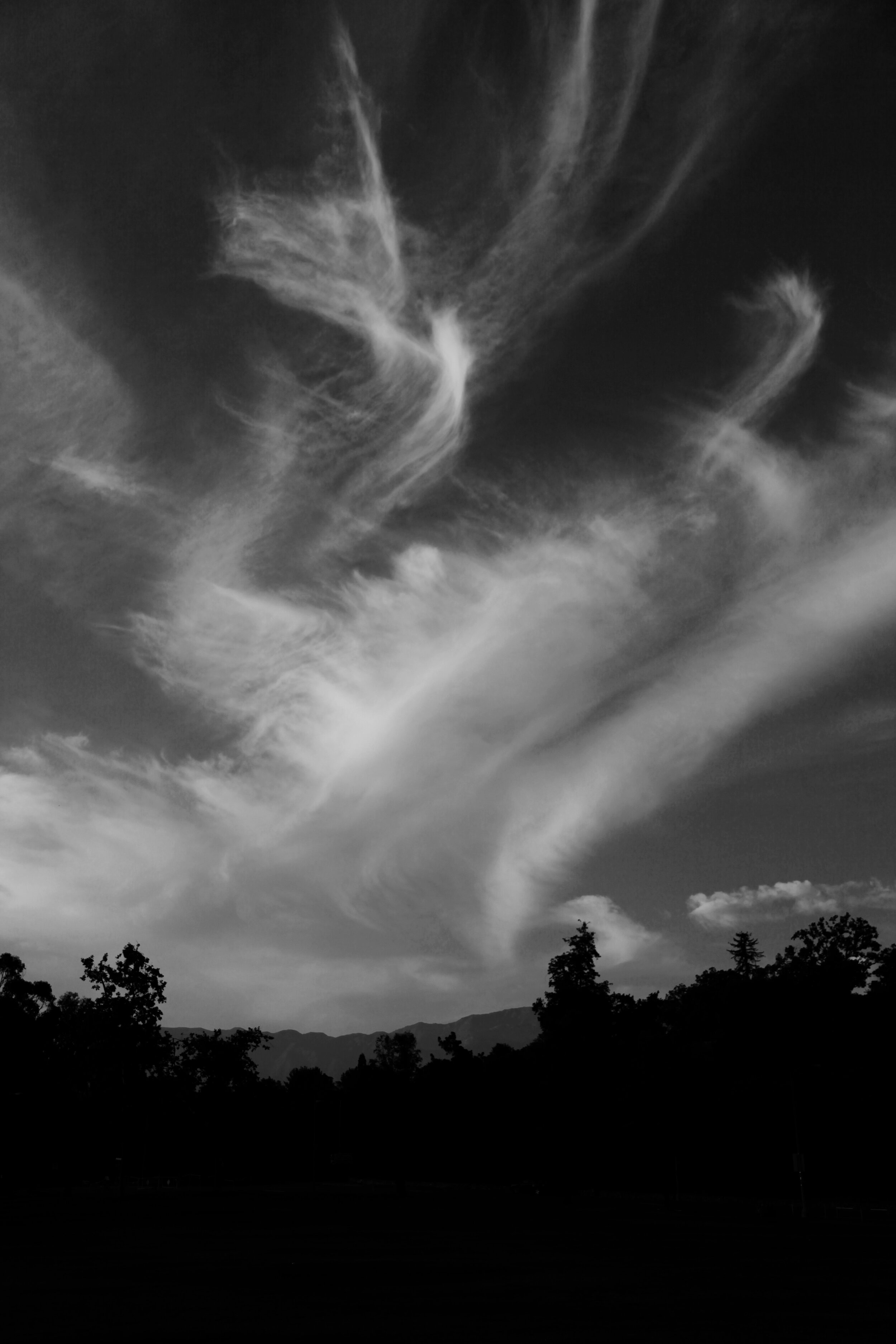 Black and white photograph of a cloudy sky with wispy clouds and trees in the foreground.