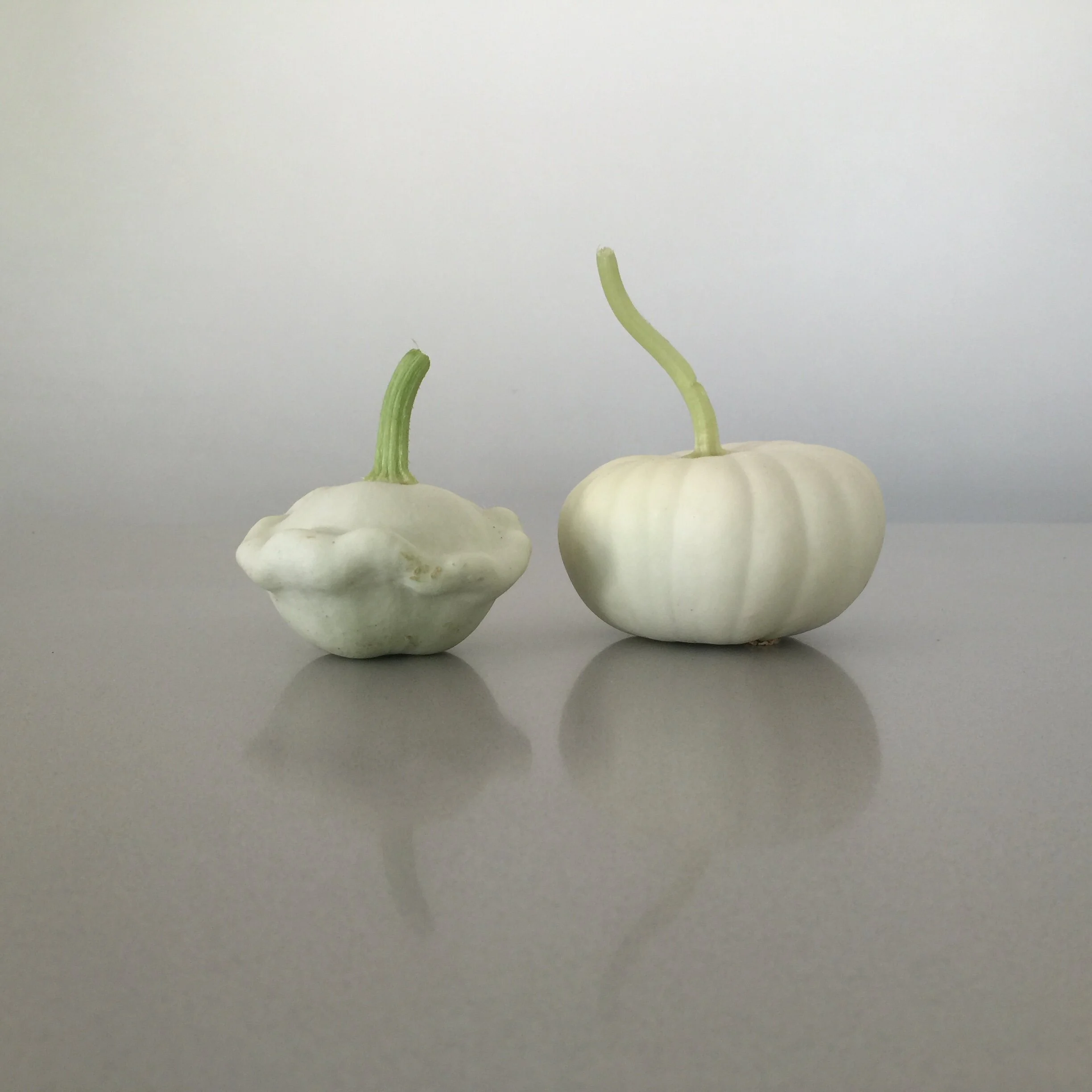 White squash in art studio environment