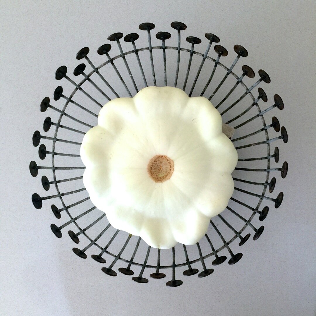 Irreverent squash image inside a vintage fruit basket from Pasadena CA.