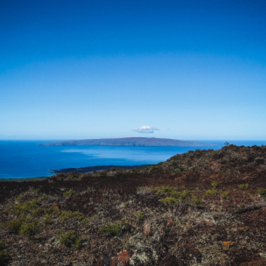 A rocky coastal landscape with a view over the ocean, showing a distant island under a clear blue sky with a few clouds.