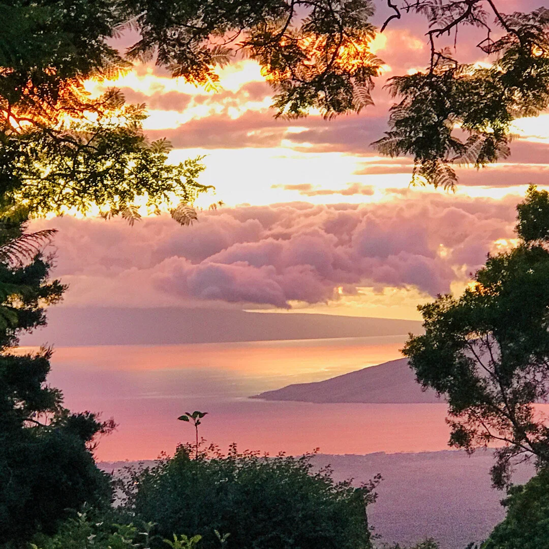 Sunset over ocean with colorful sky, clouds, and silhouetted trees in the foreground.