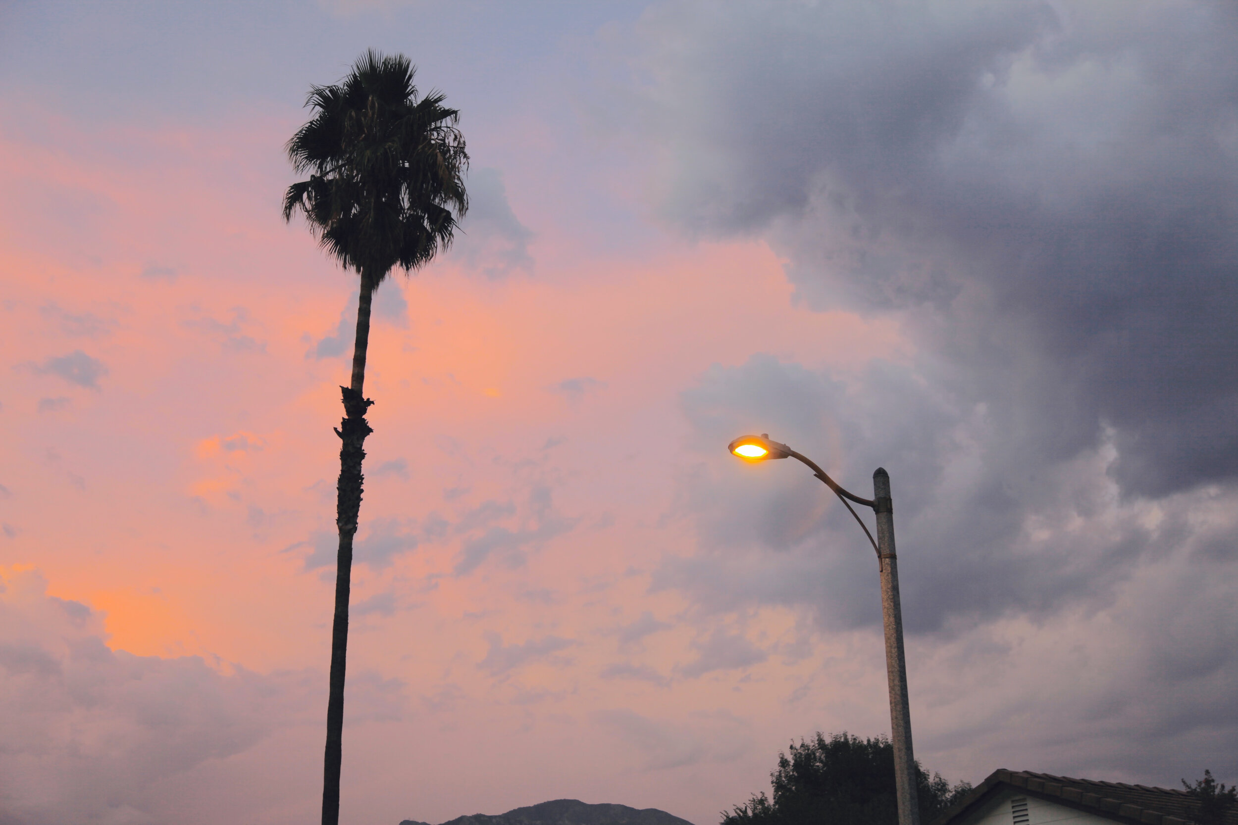 A tall palm tree and a streetlight under a partly cloudy sky at dusk, with pink and gray clouds.