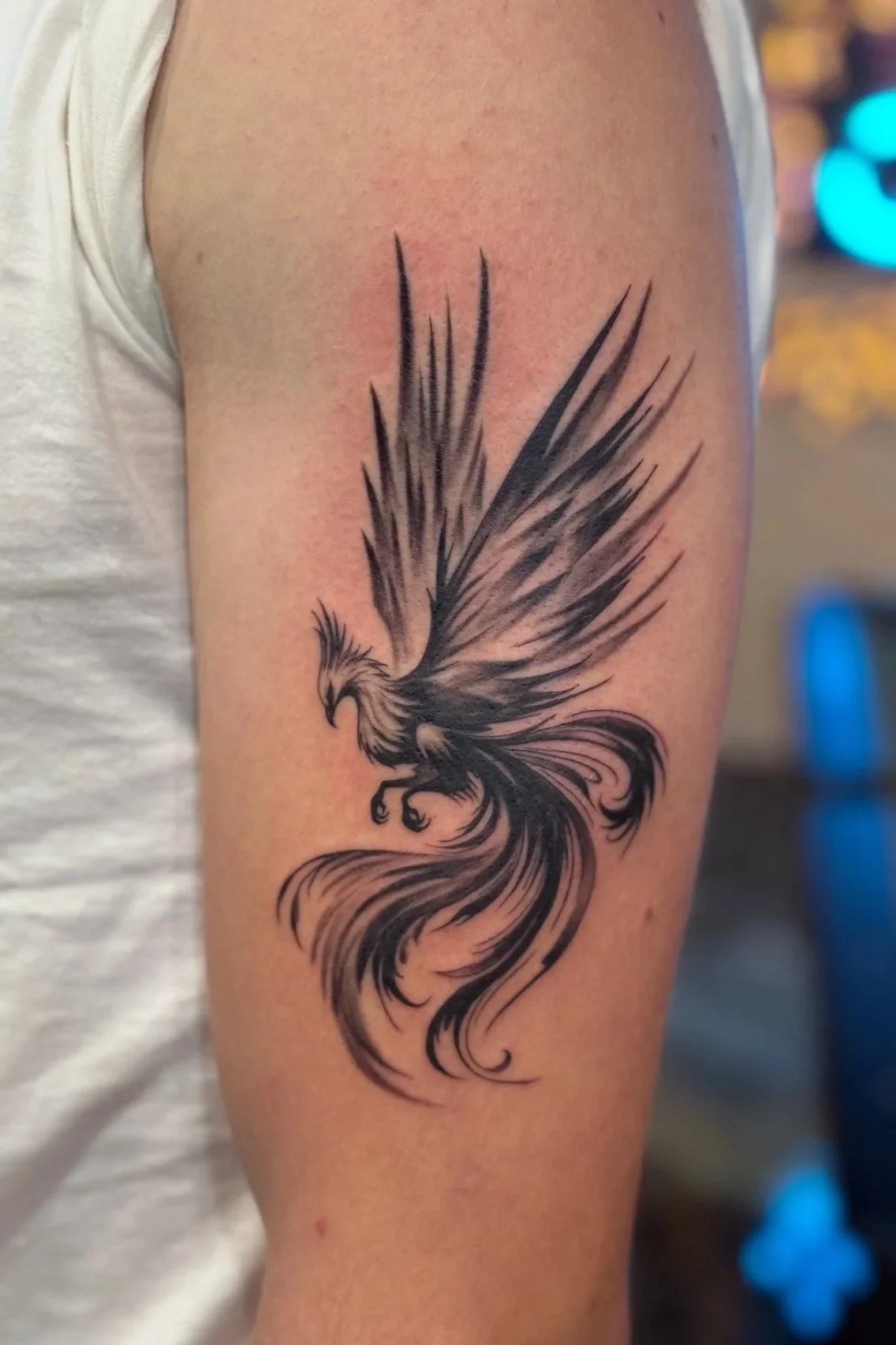 IMG_5431.jpg