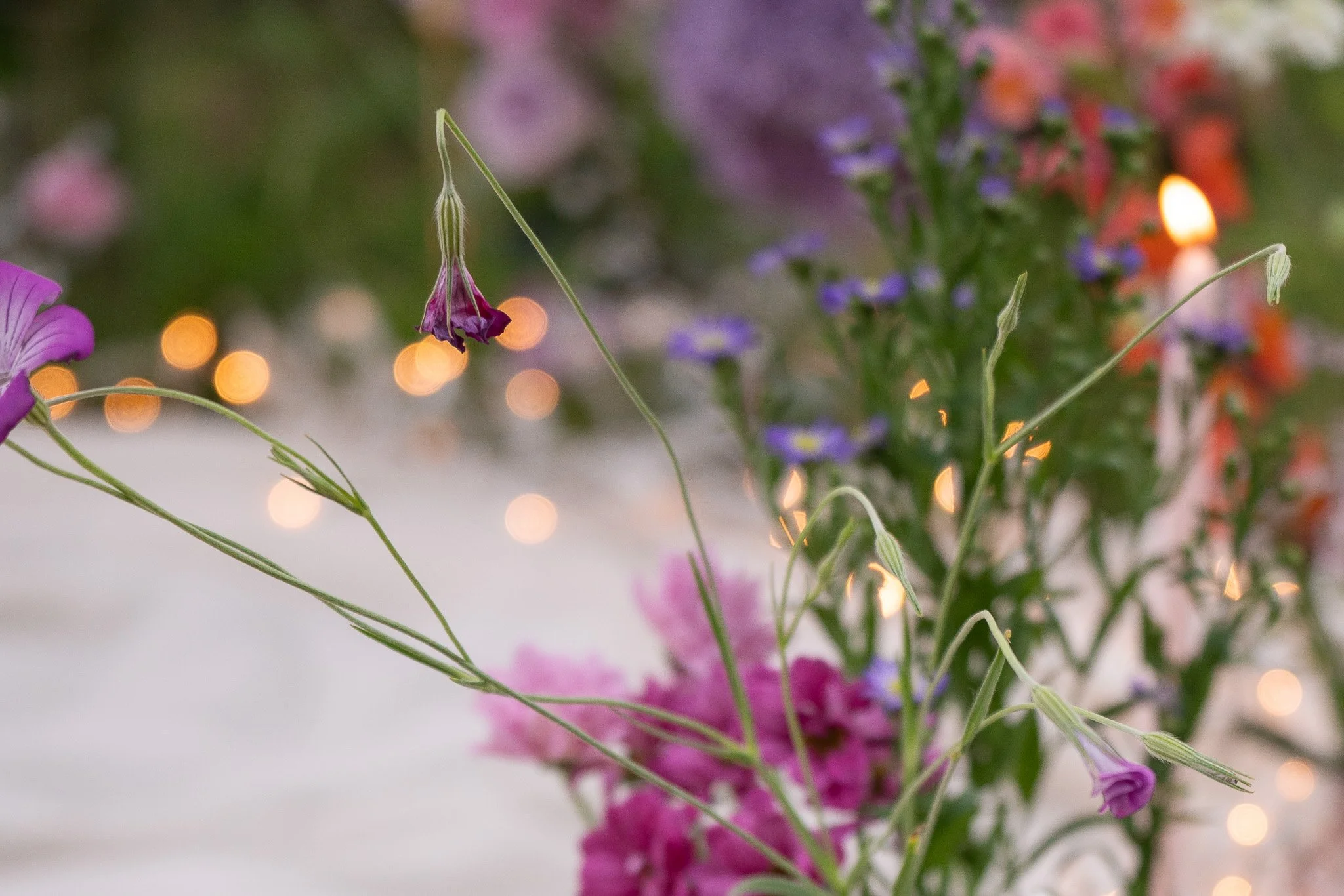 Gloria Montiel Des Moines Wedding Photographer