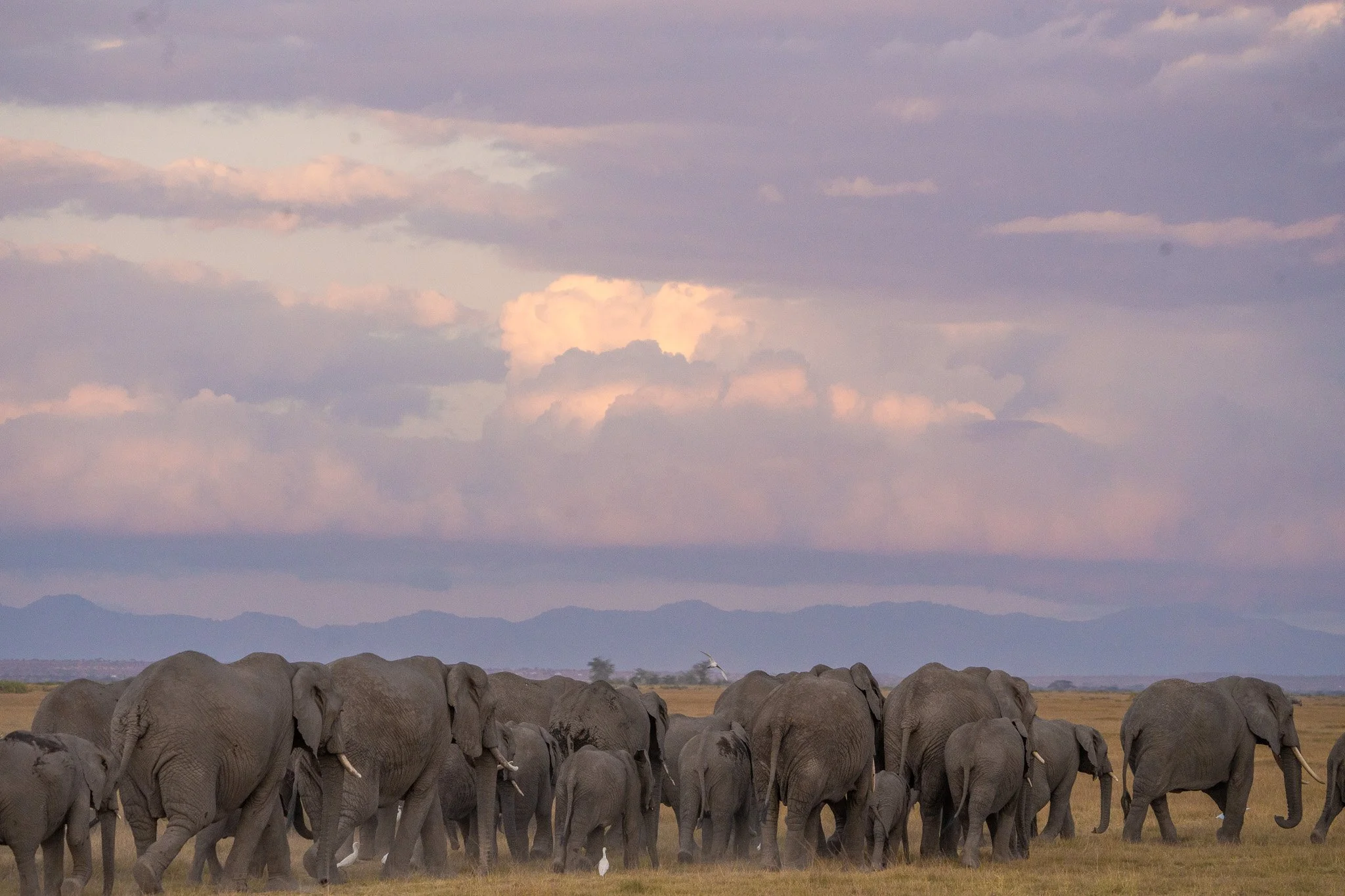 Gloria Montiel Des Moines Wedding Photographer