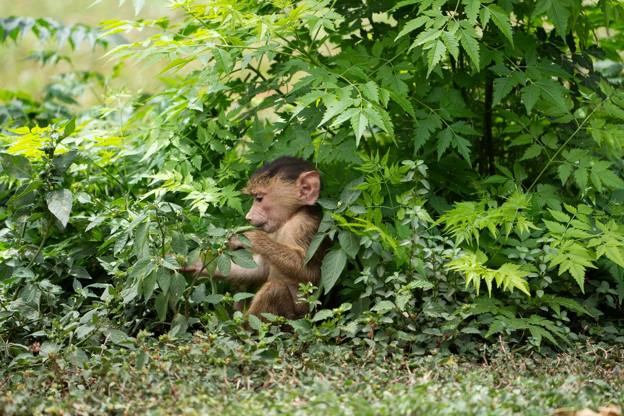 Gloria Montiel Des Moines Wedding Photographer