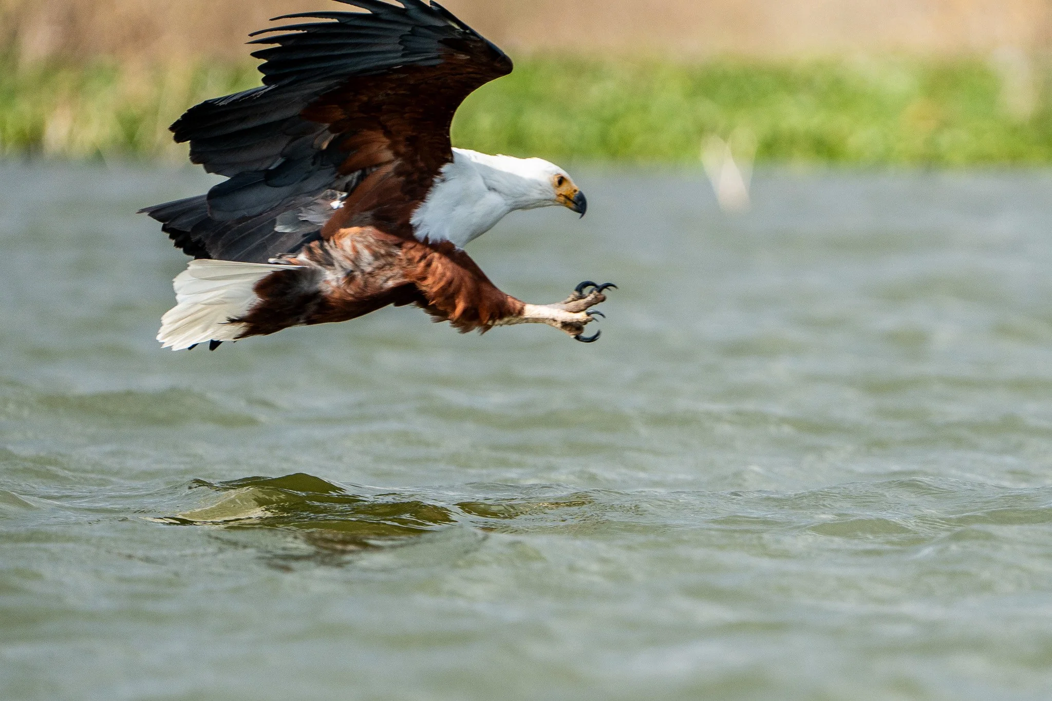 Gloria Montiel Des Moines Wedding Photographer