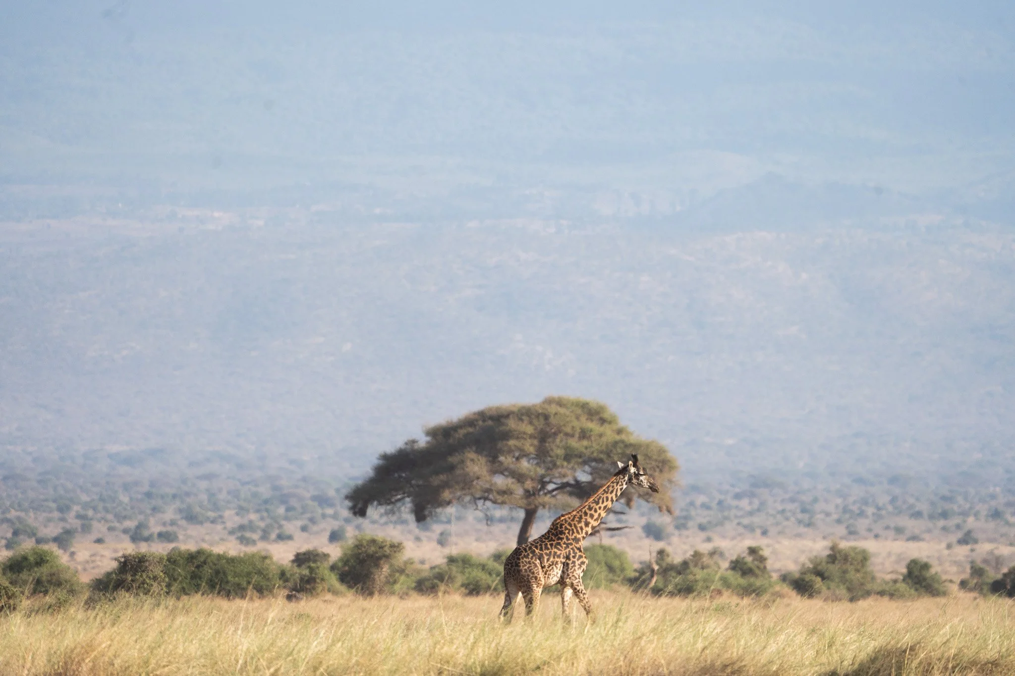 Gloria Montiel Des Moines Wedding Photographer