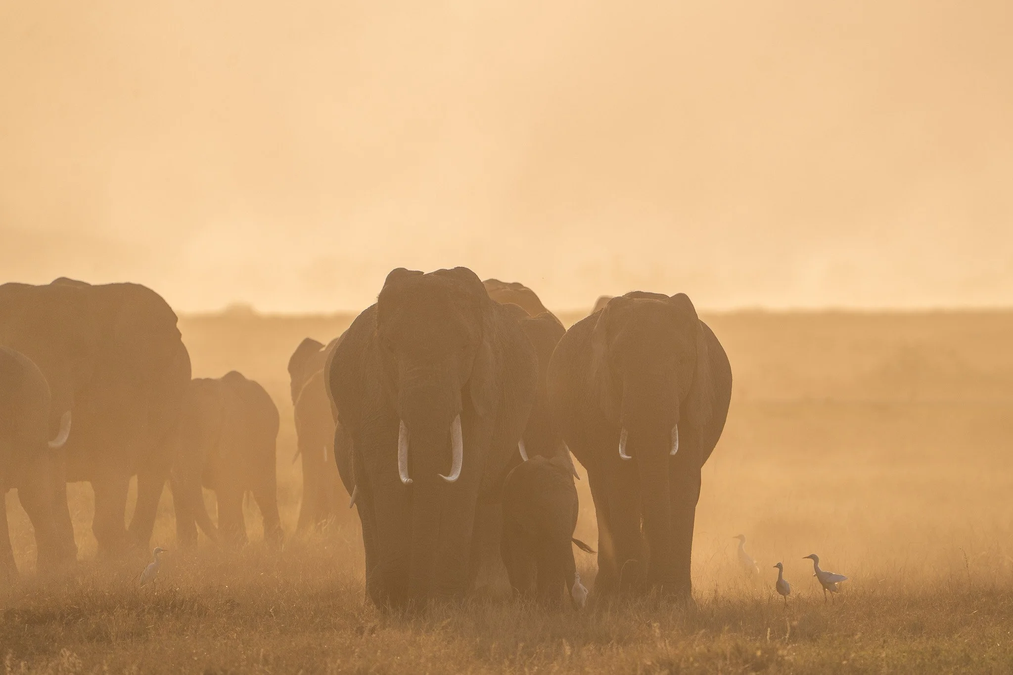 Gloria Montiel Des Moines Wedding Photographer