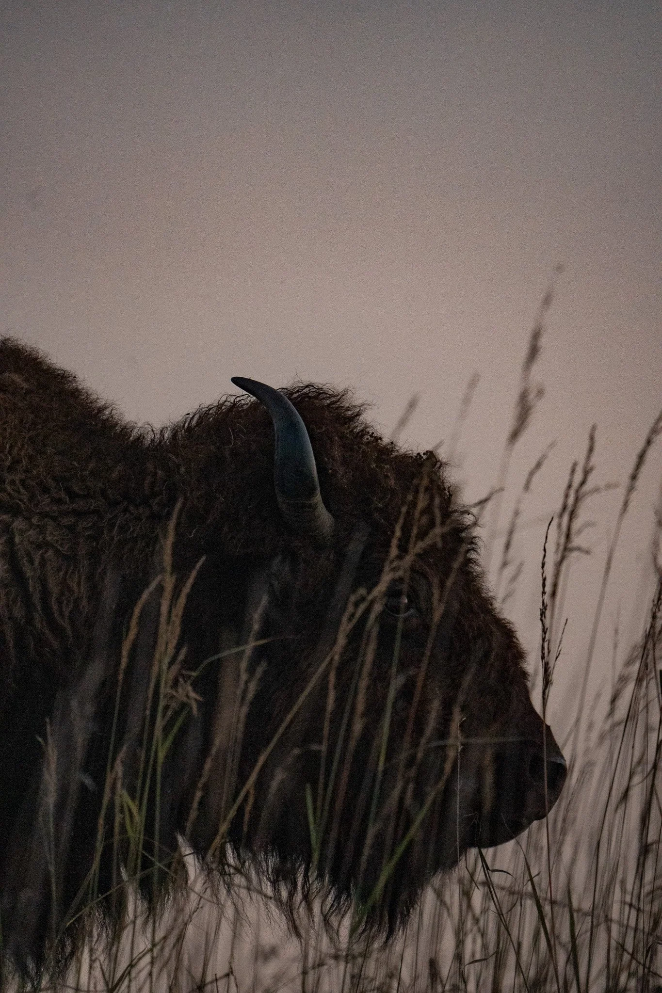 Des Moines Wedding Photographer