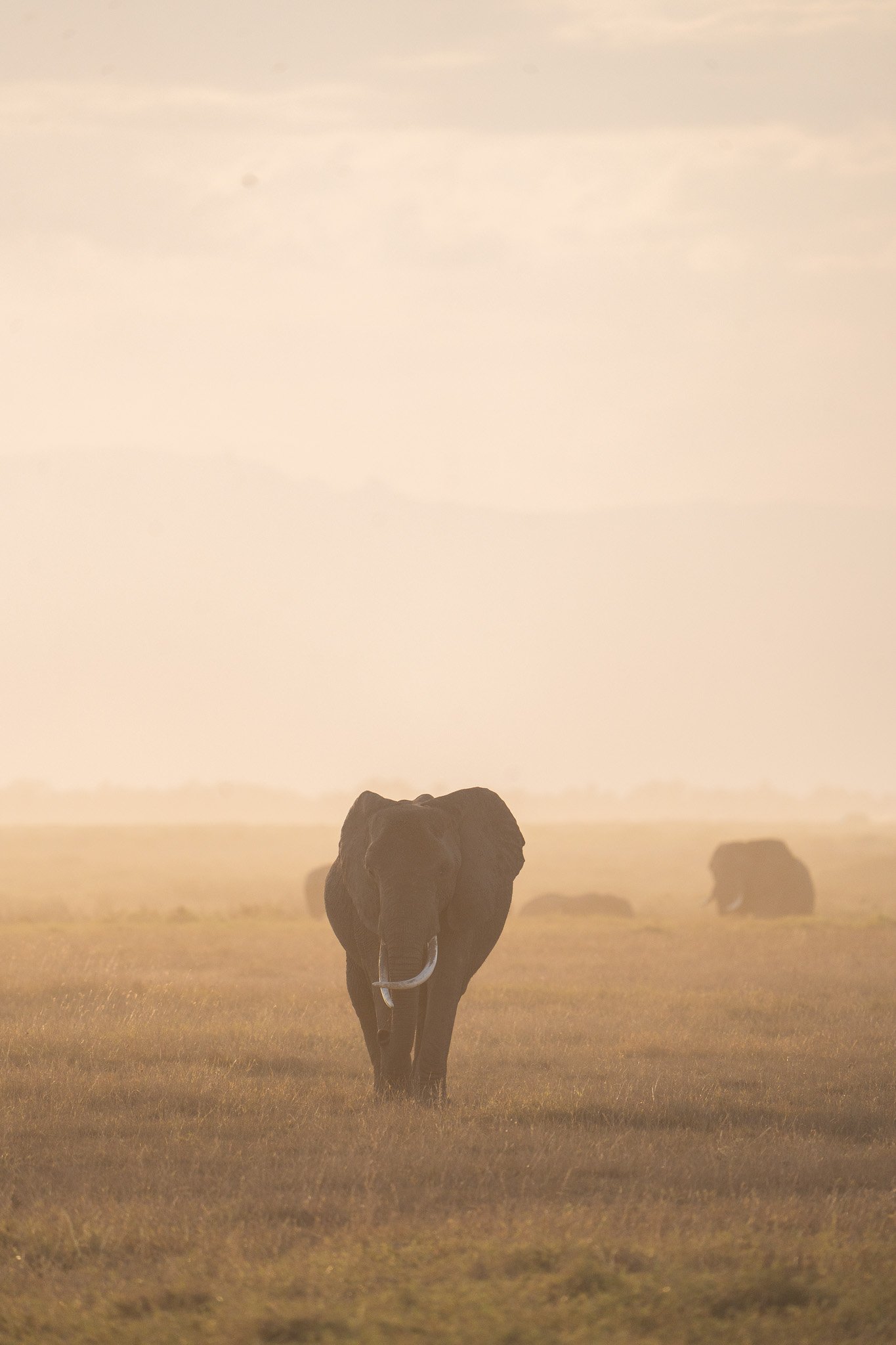 Gloria Montiel Des Moines Wedding Photographer
