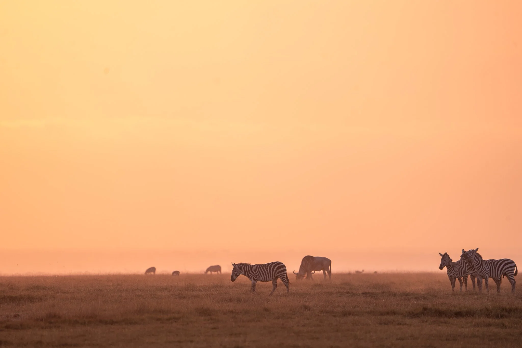 Gloria Montiel Des Moines Wedding Photographer