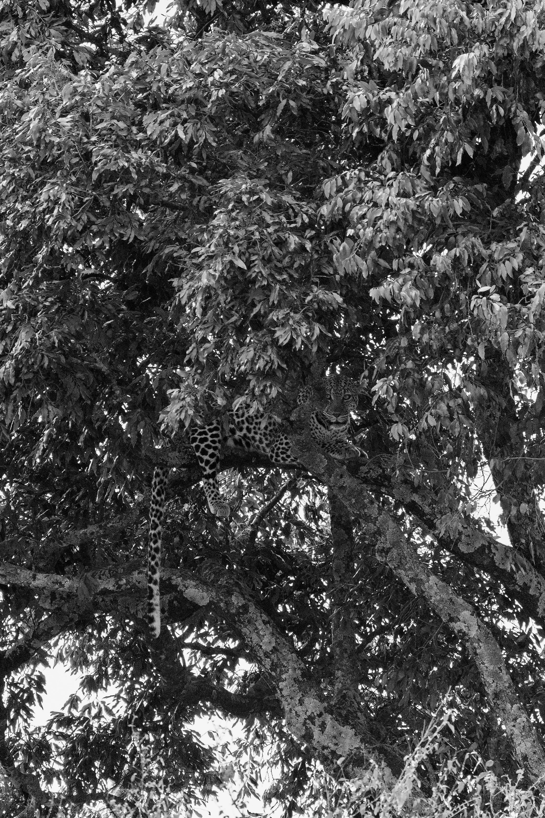 Gloria Montiel Des Moines Wedding Photographer