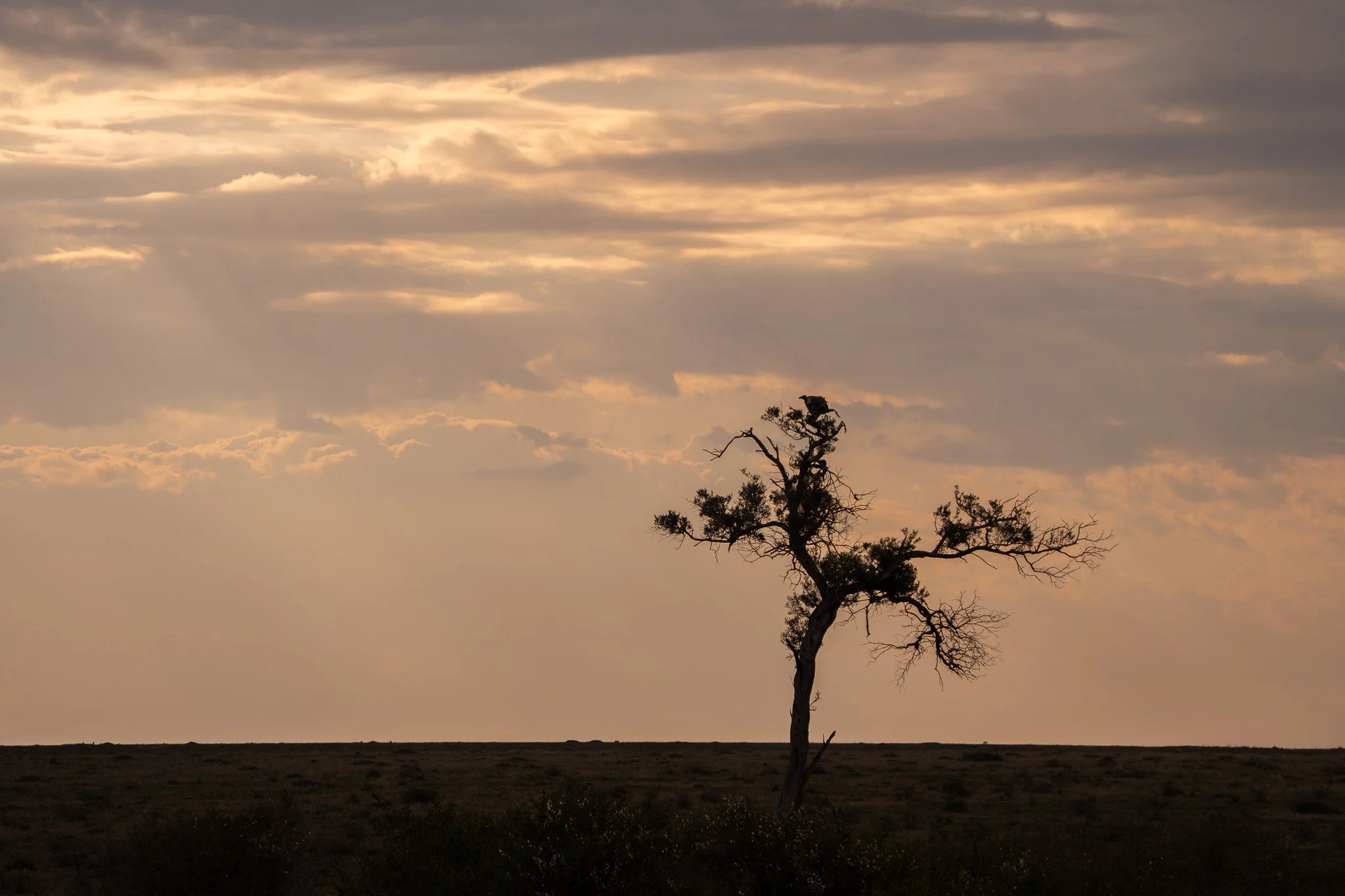 Gloria Montiel Des Moines Wedding Photographer