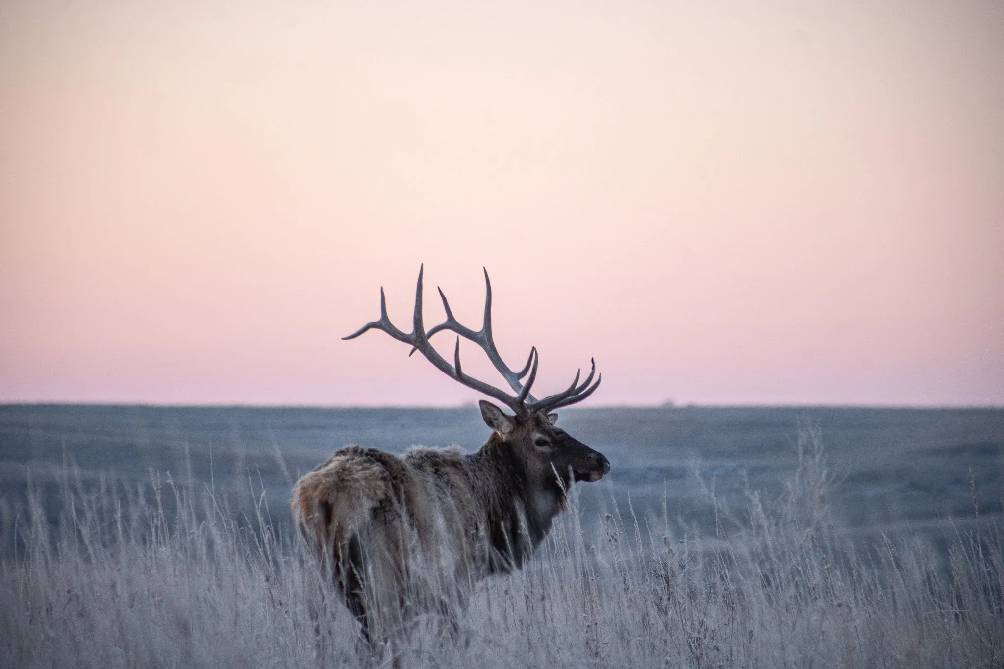 Des Moines Wedding Photographer