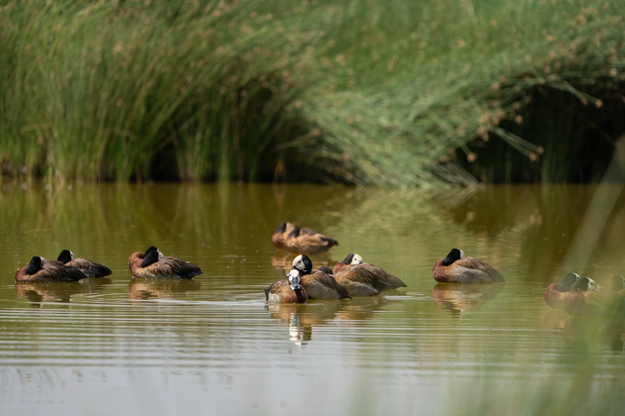 Gloria Montiel Des Moines Wedding Photographer