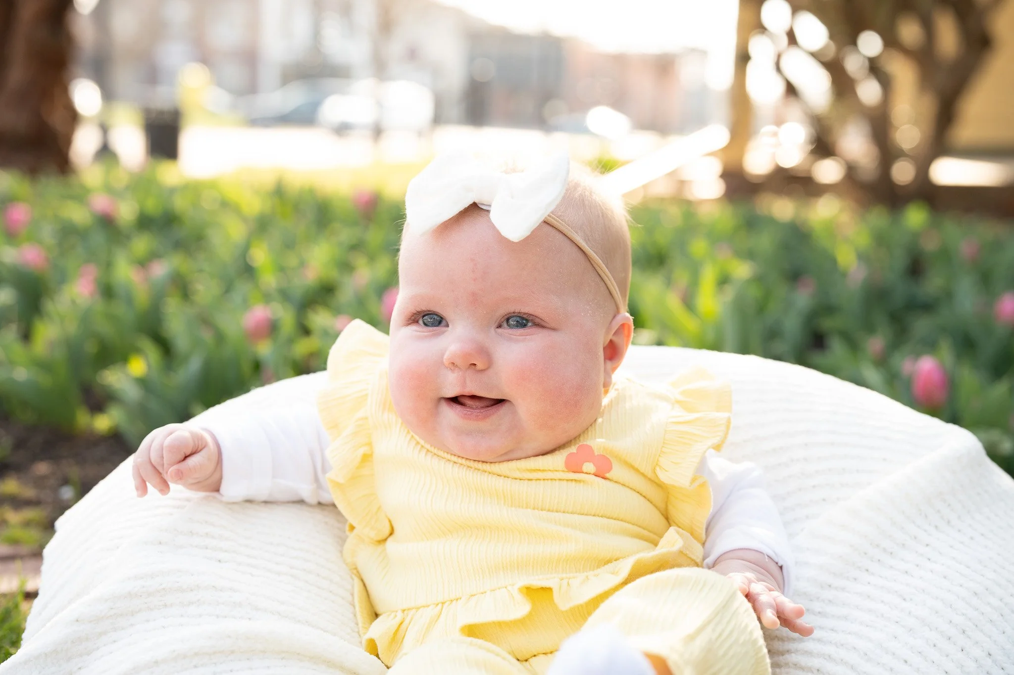 Des Moines Photographer