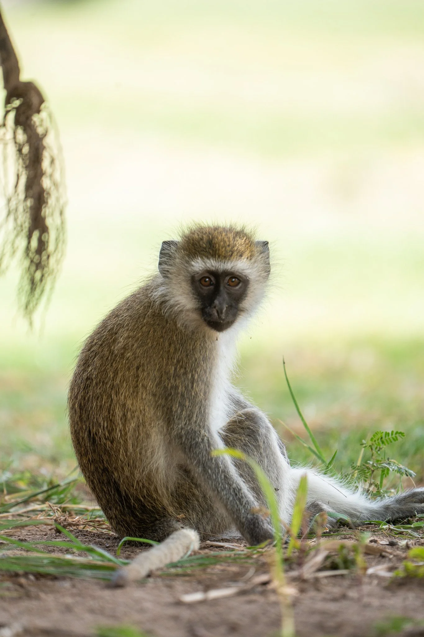 Gloria Montiel Des Moines Wedding Photographer
