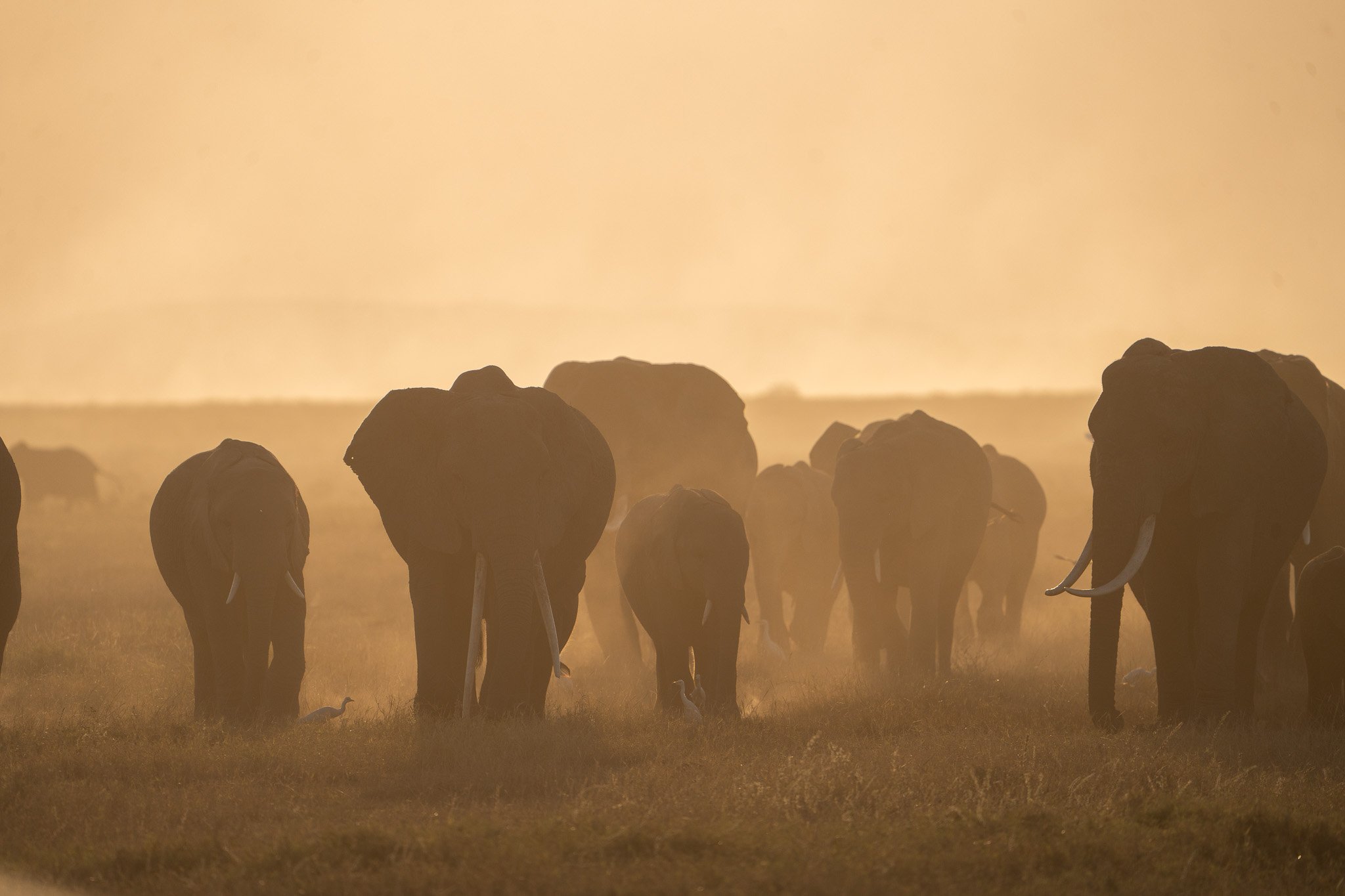 Gloria Montiel Des Moines Wedding Photographer