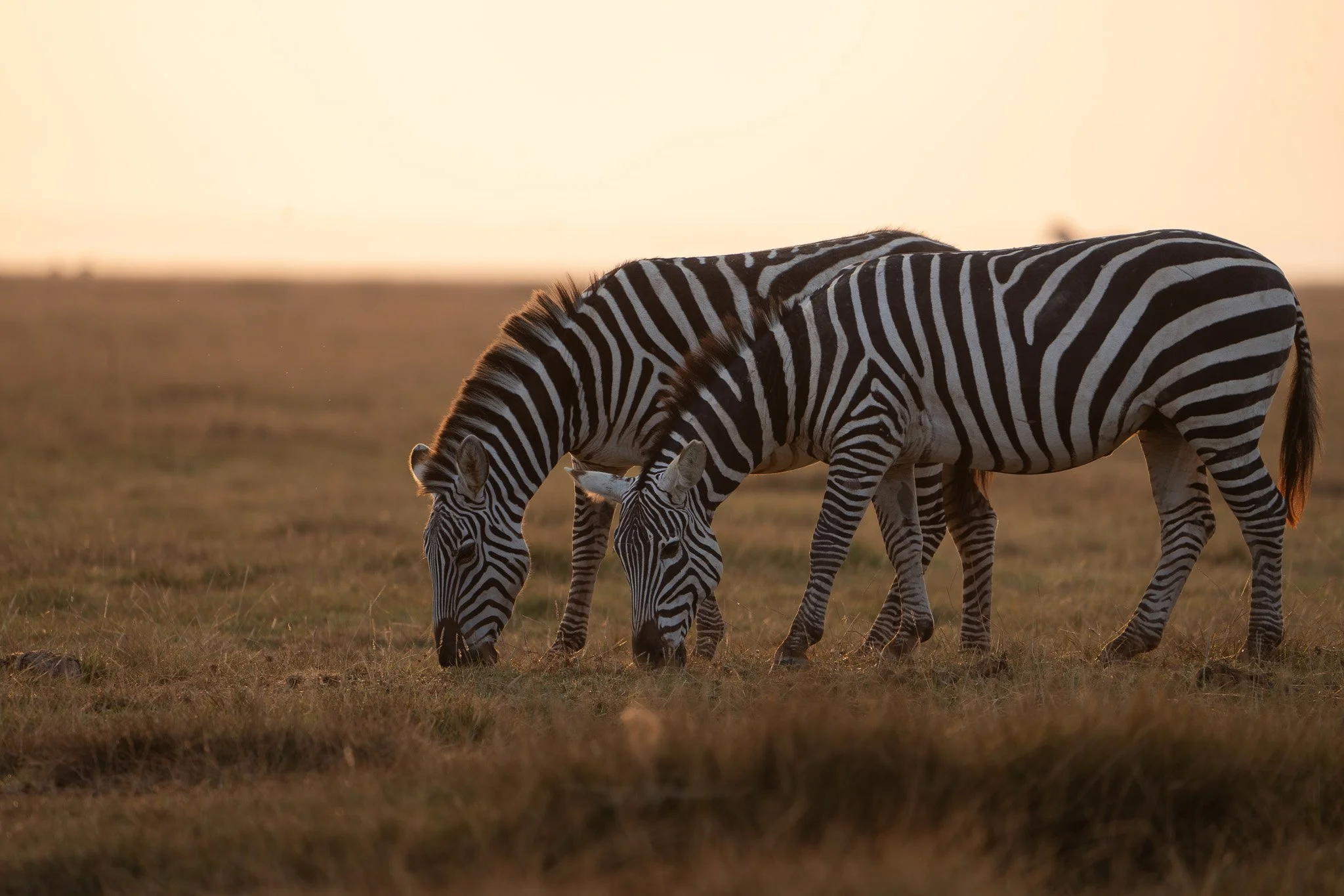 Gloria Montiel Des Moines Wedding Photographer