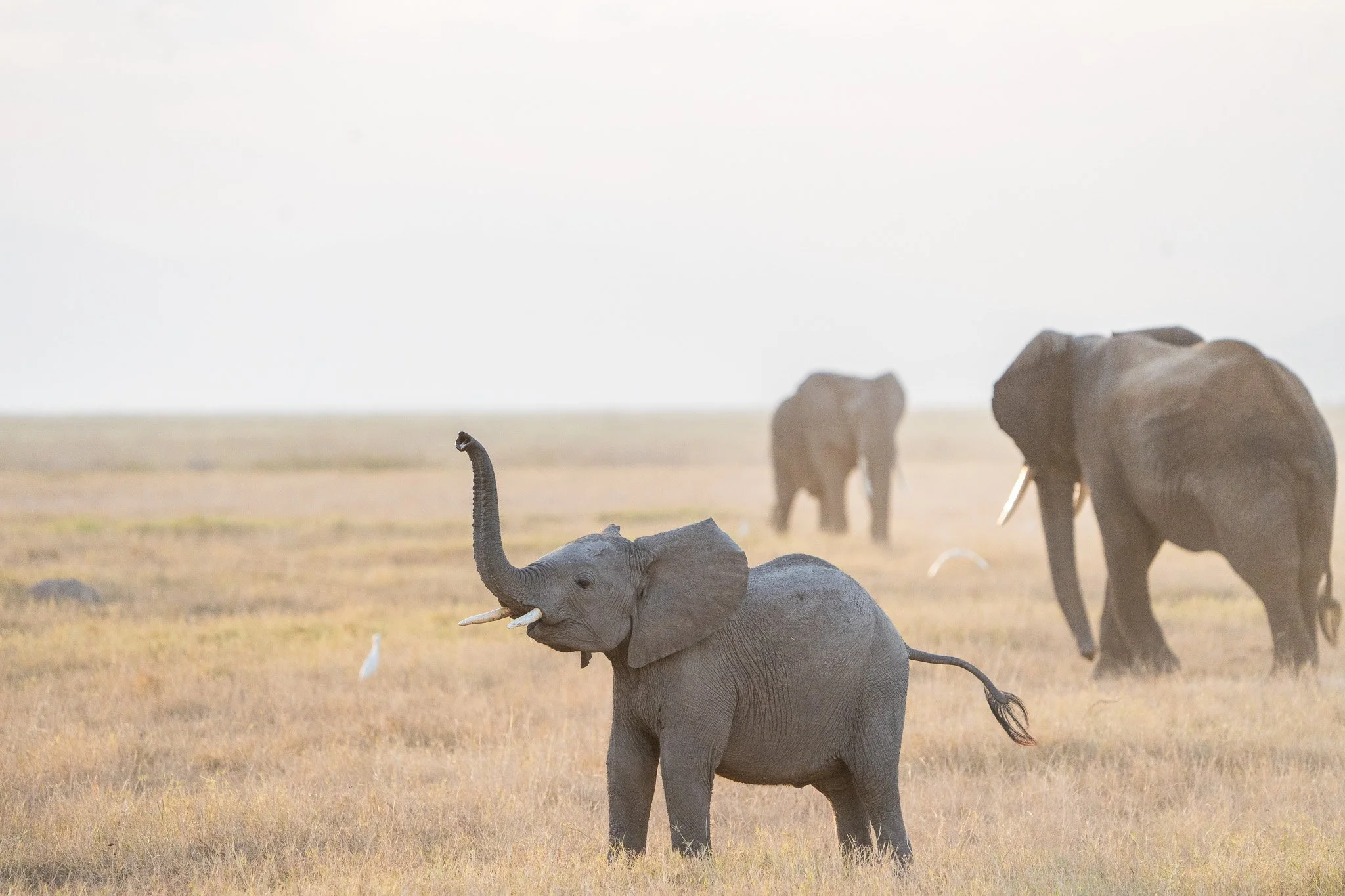 Gloria Montiel Des Moines Wedding Photographer