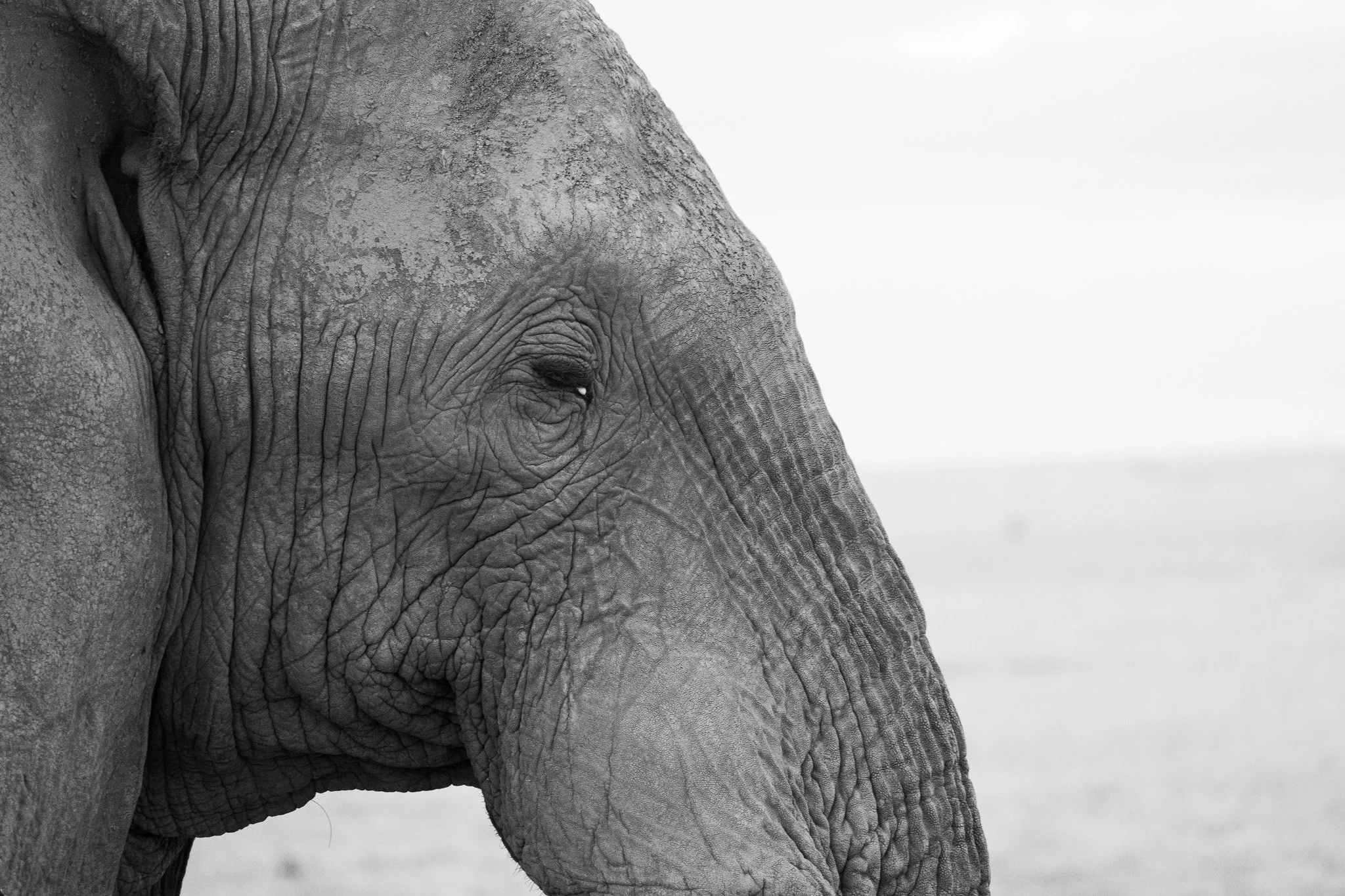 Gloria Montiel Des Moines Wedding Photographer