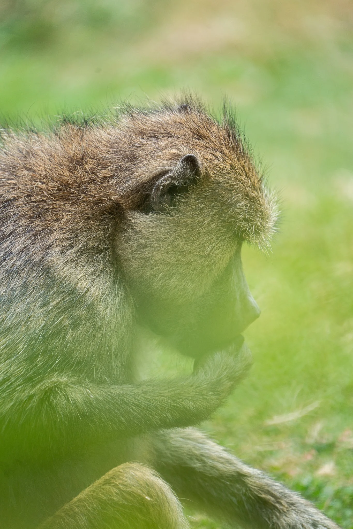 Gloria Montiel Des Moines Wedding Photographer