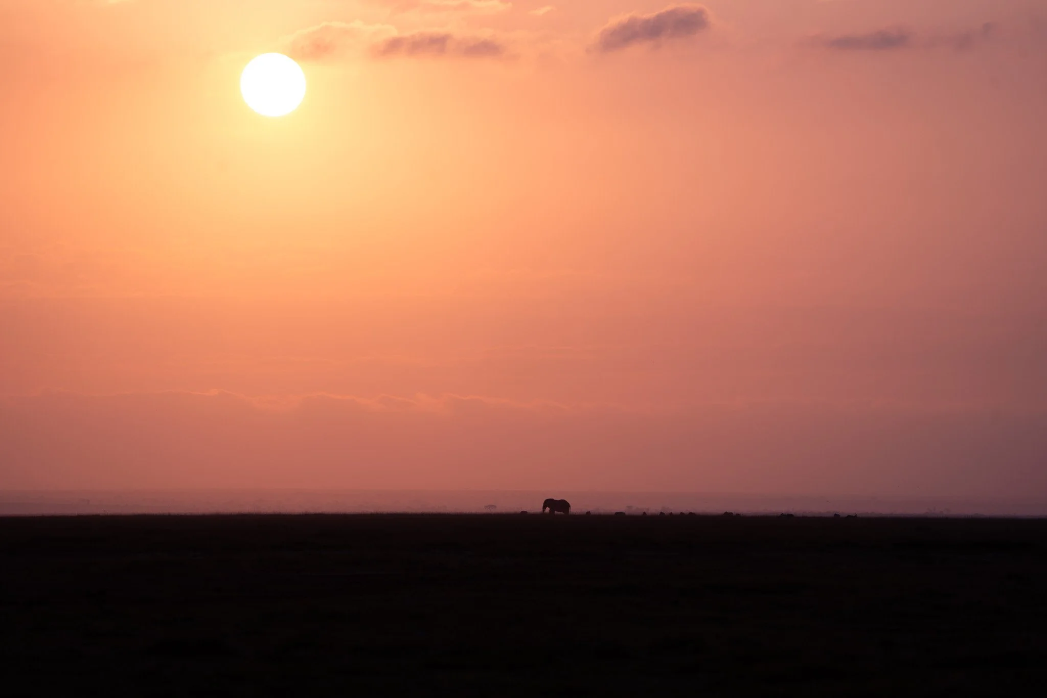 Des Moines Wedding Photographer