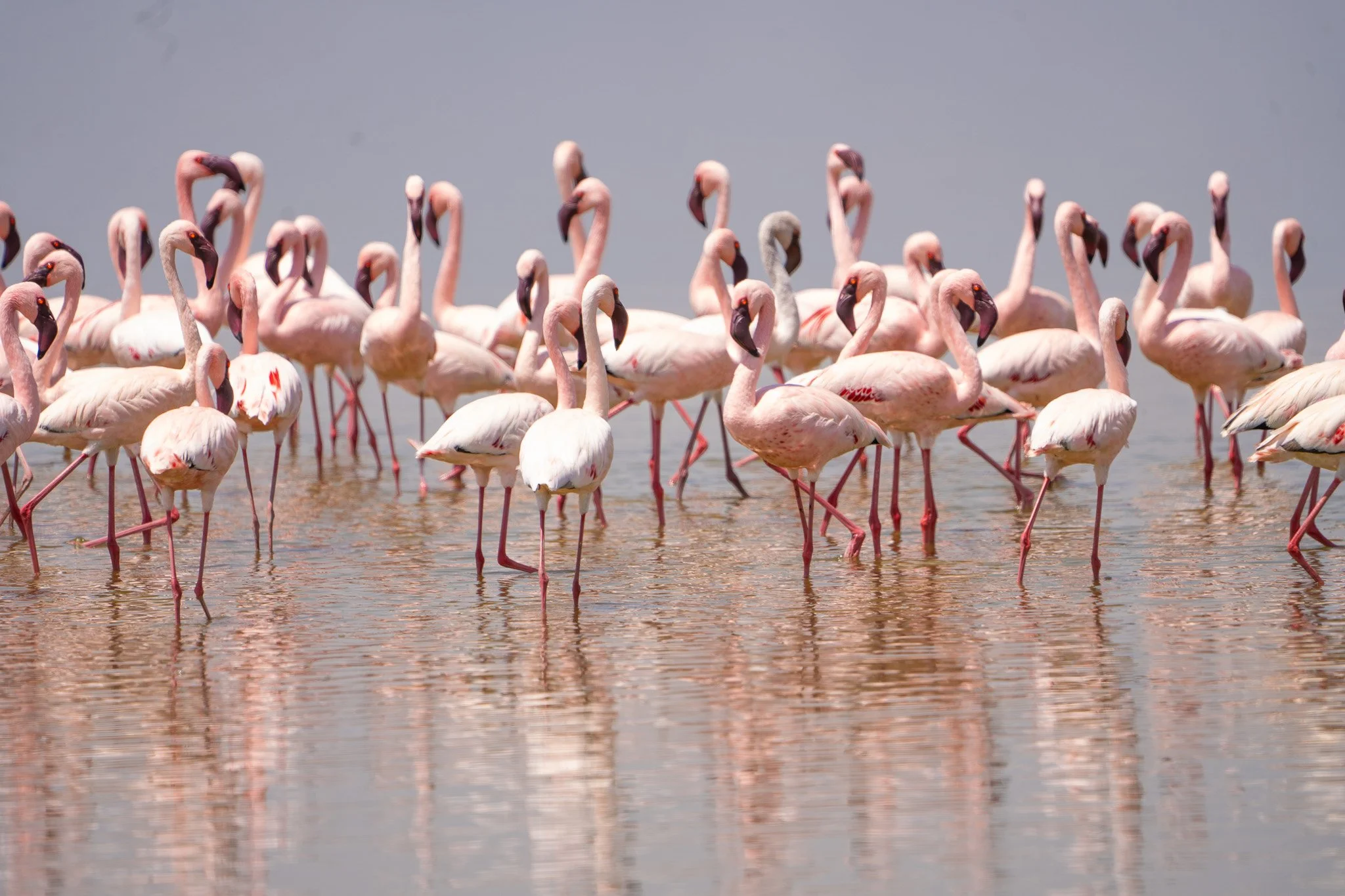 Gloria Montiel Des Moines Wedding Photographer