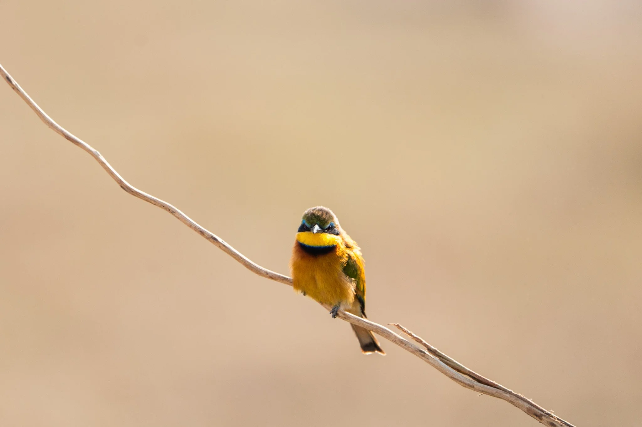 Gloria Montiel Des Moines Wedding Photographer