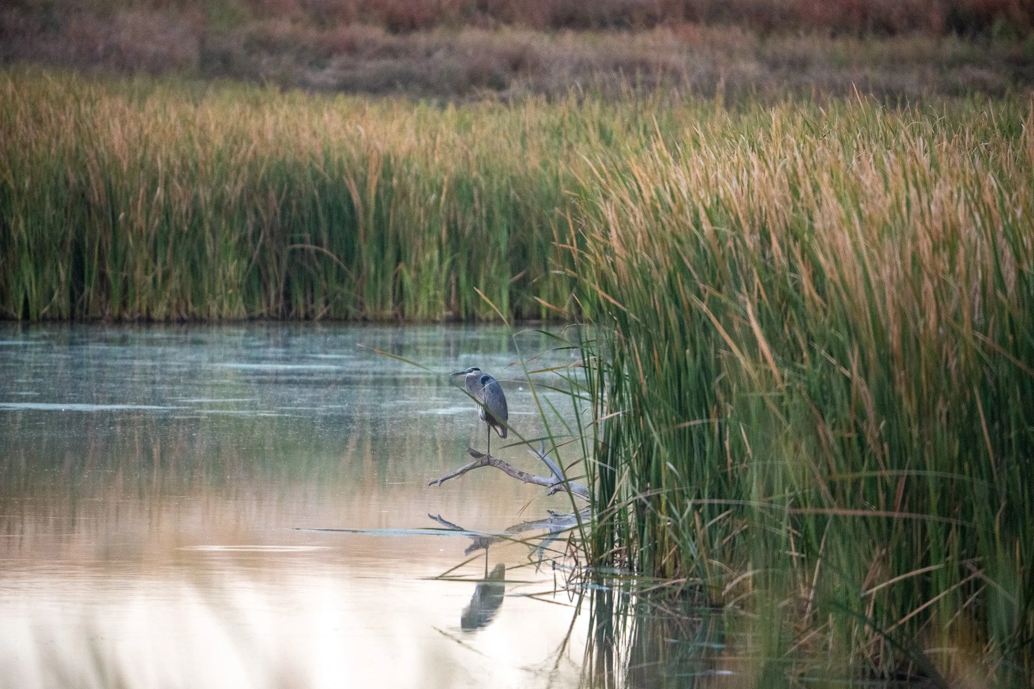 Des Moines Wedding Photographer