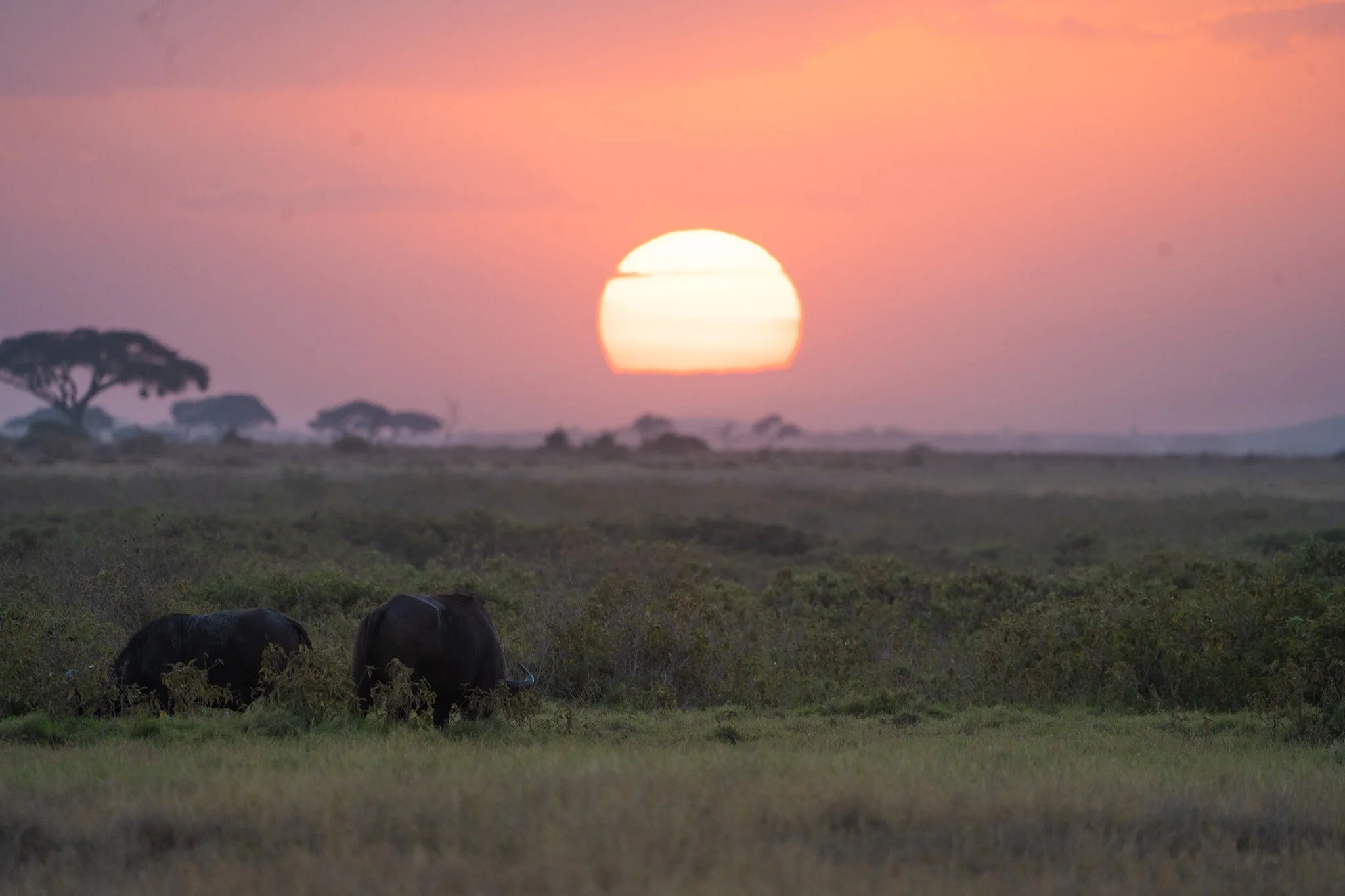 Gloria Montiel Des Moines Wedding Photographer