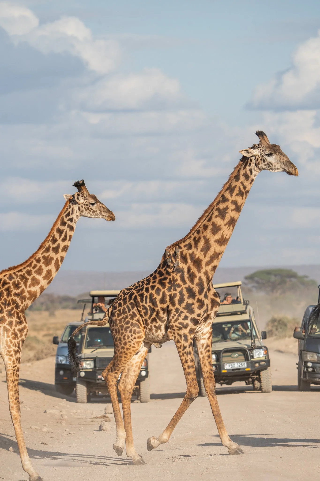 Gloria Montiel Des Moines Wedding Photographer