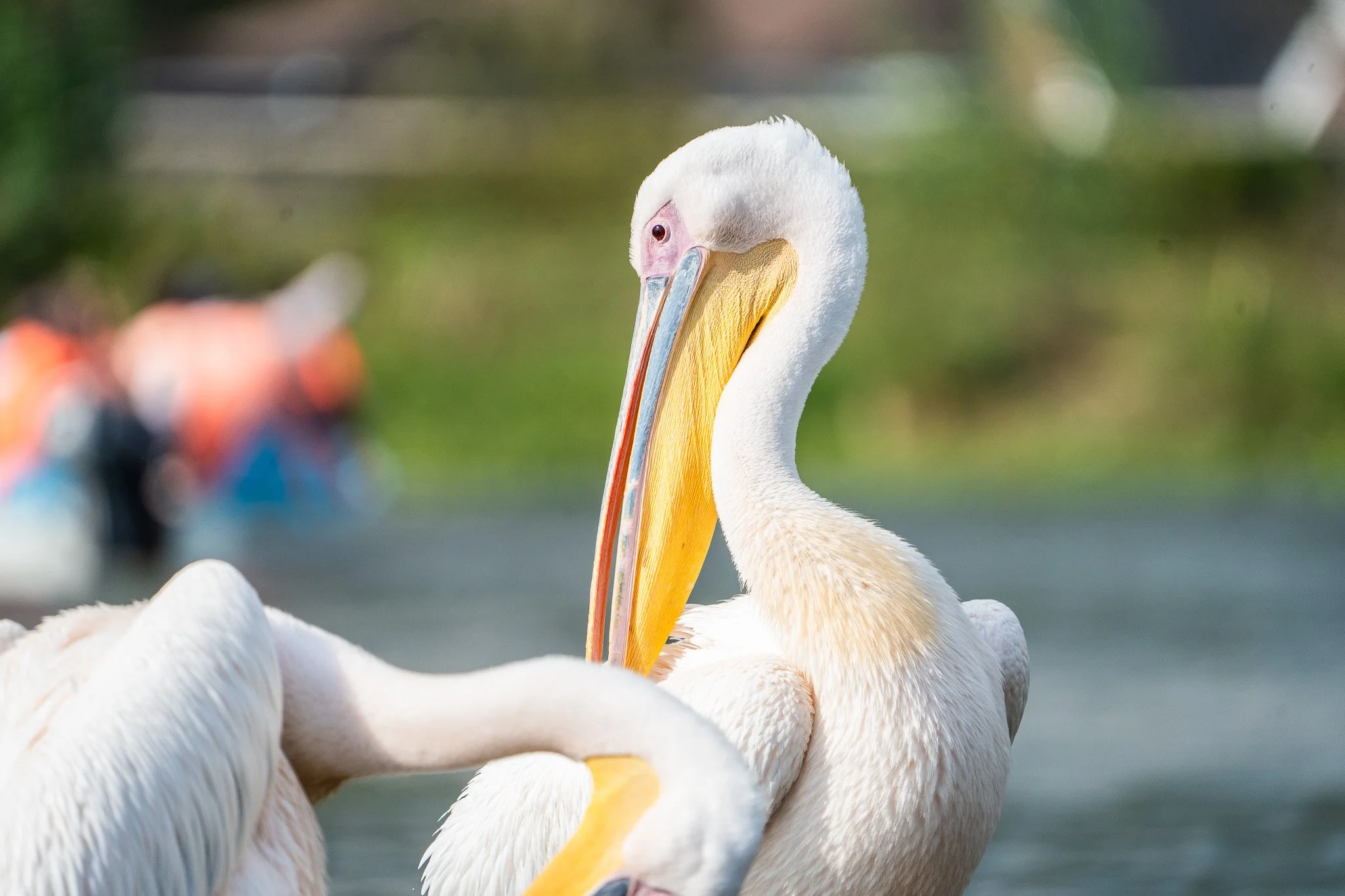 Gloria Montiel Des Moines Wedding Photographer