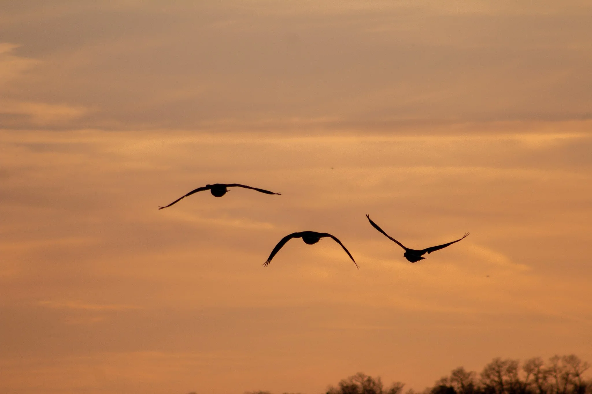 Des Moines Wedding Photographer
