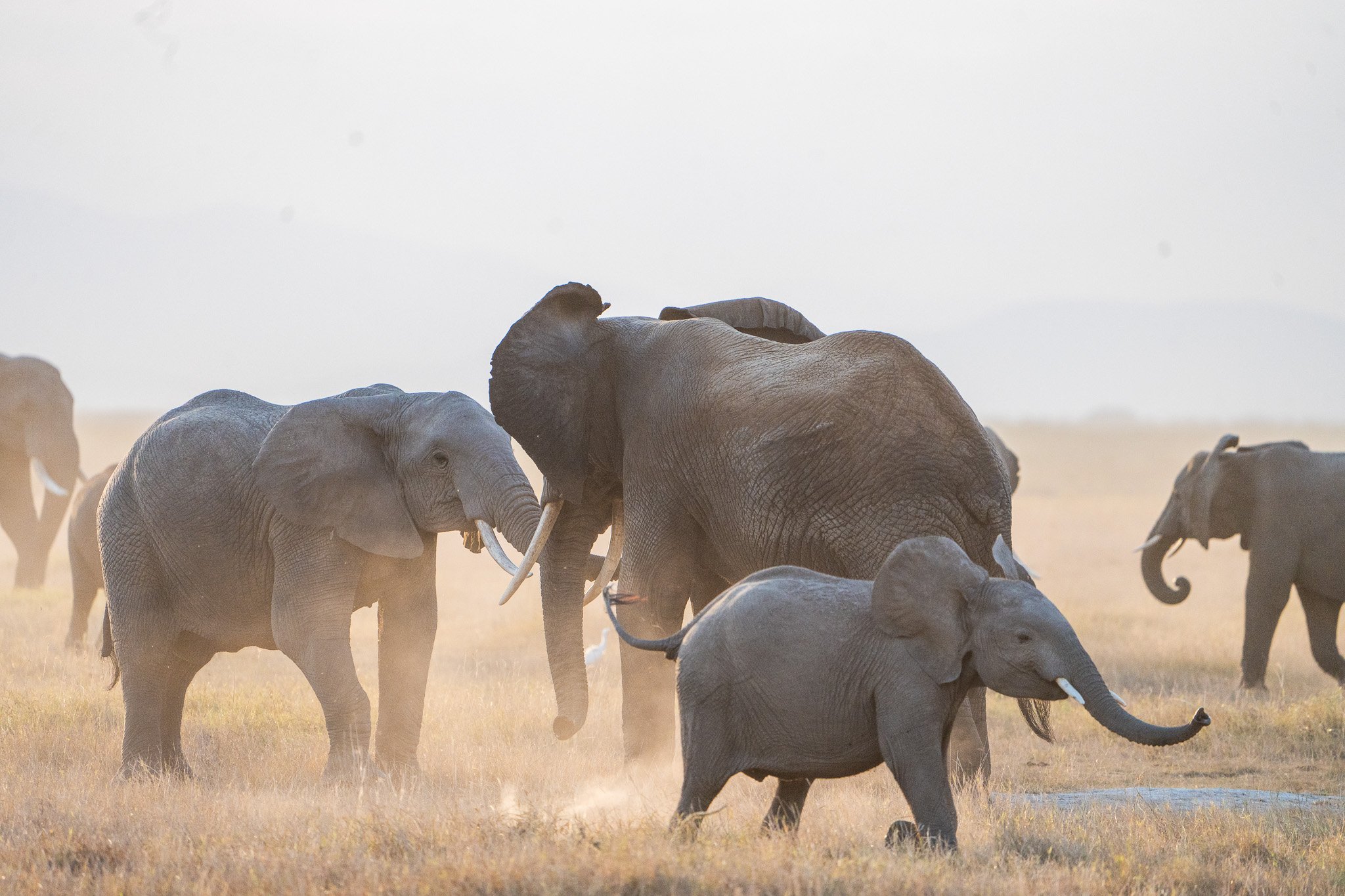 Gloria Montiel Des Moines Wedding Photographer
