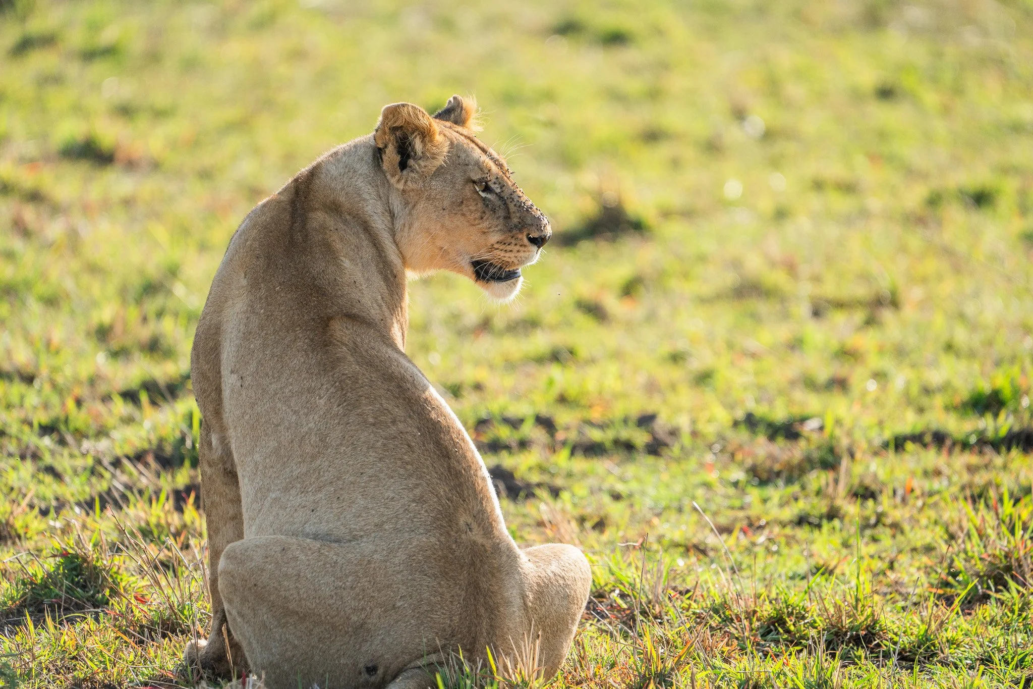 Gloria Montiel Des Moines Wedding Photographer
