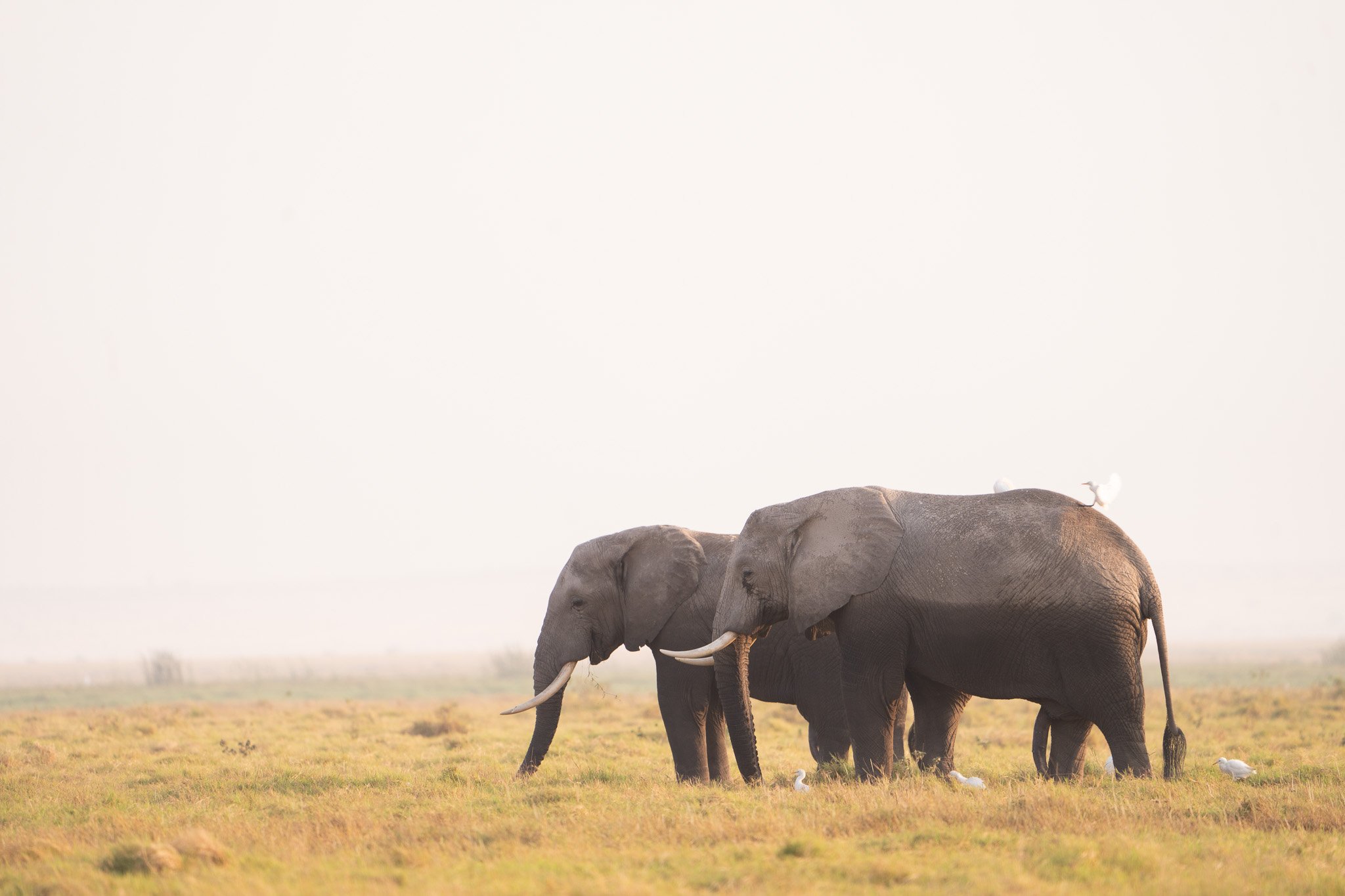 Gloria Montiel Des Moines Wedding Photographer