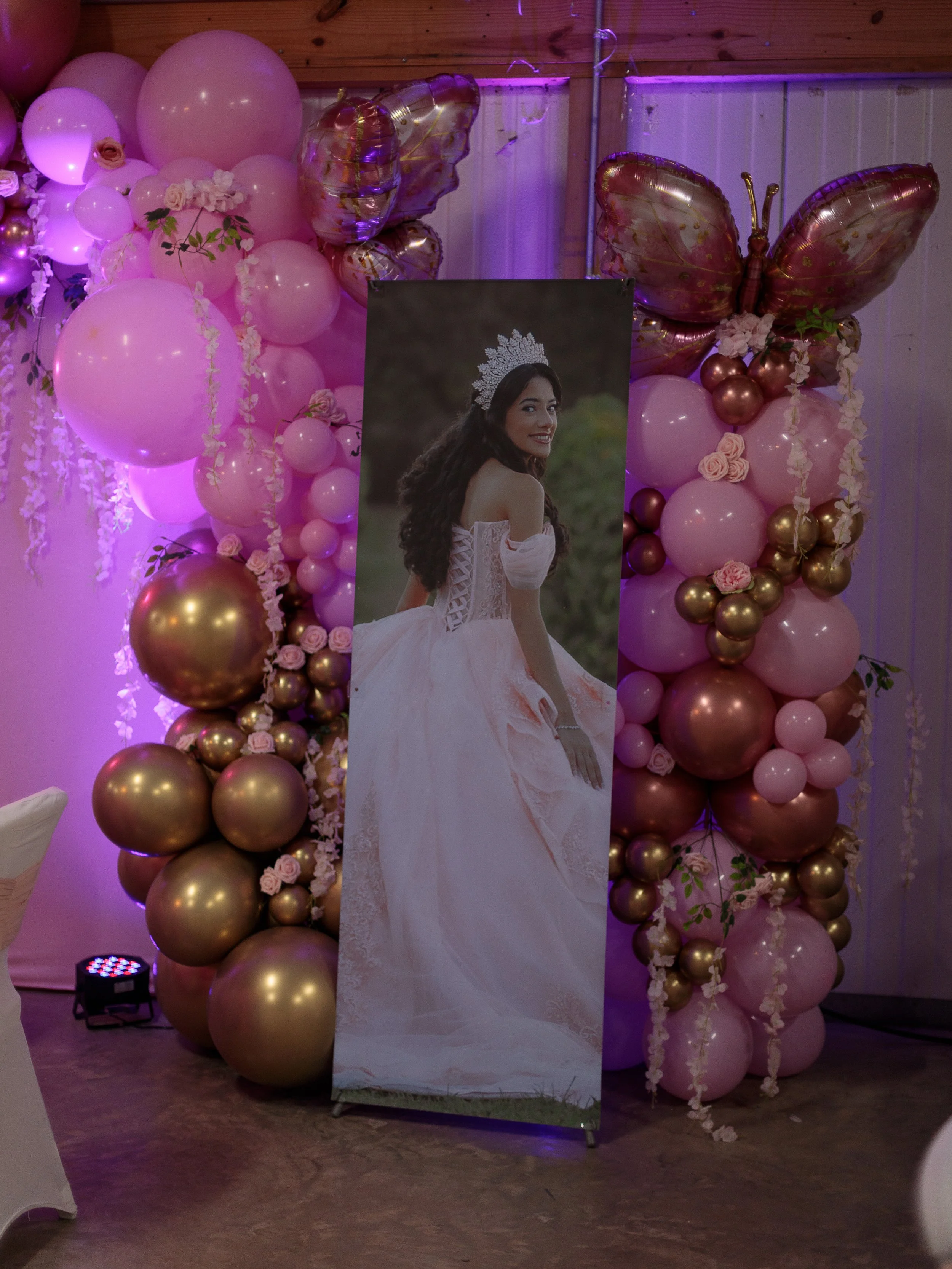 quinceañera-entrance-display-banner.jpg