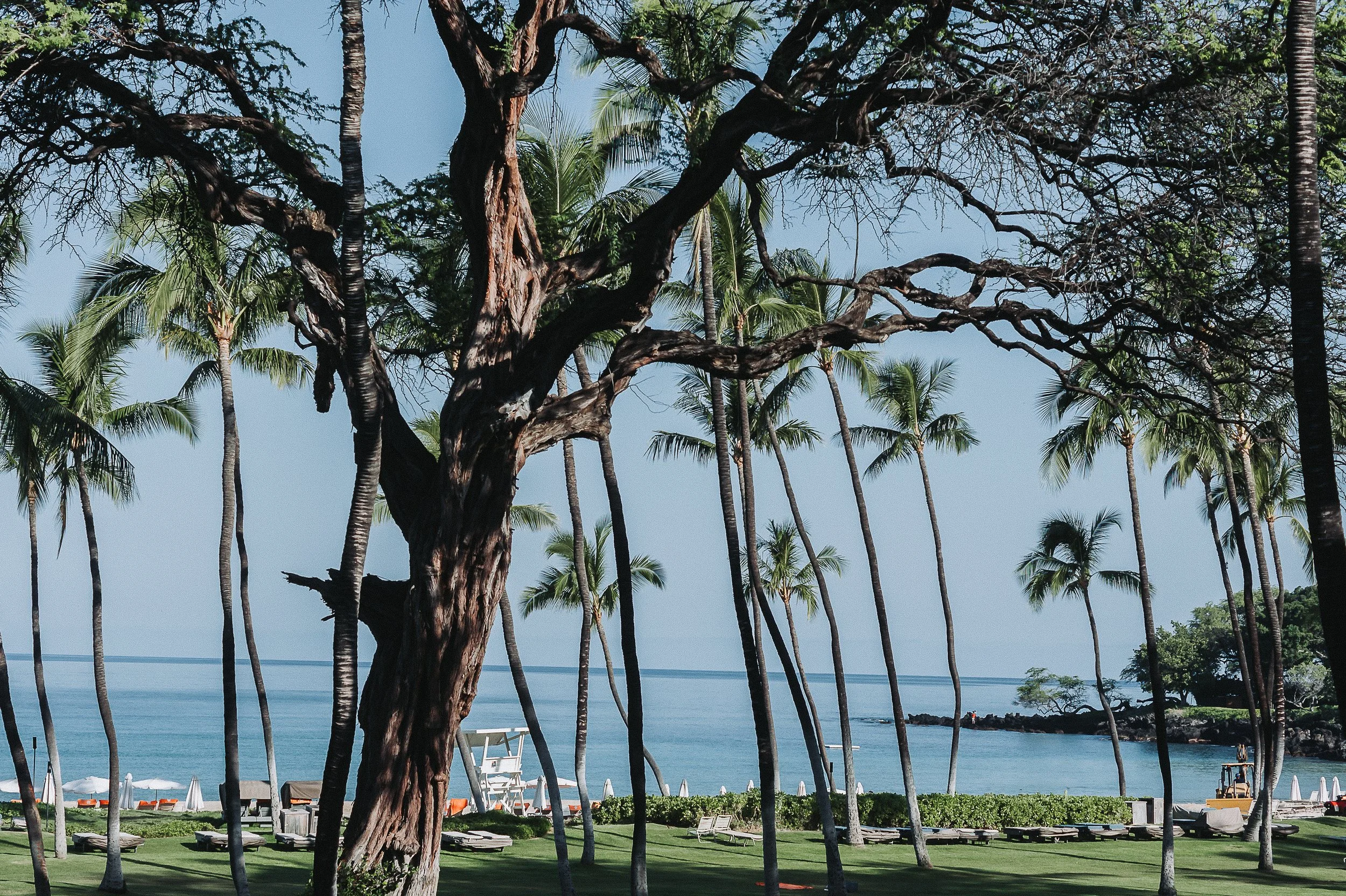 Hawaii beach location for sunset family photography session.