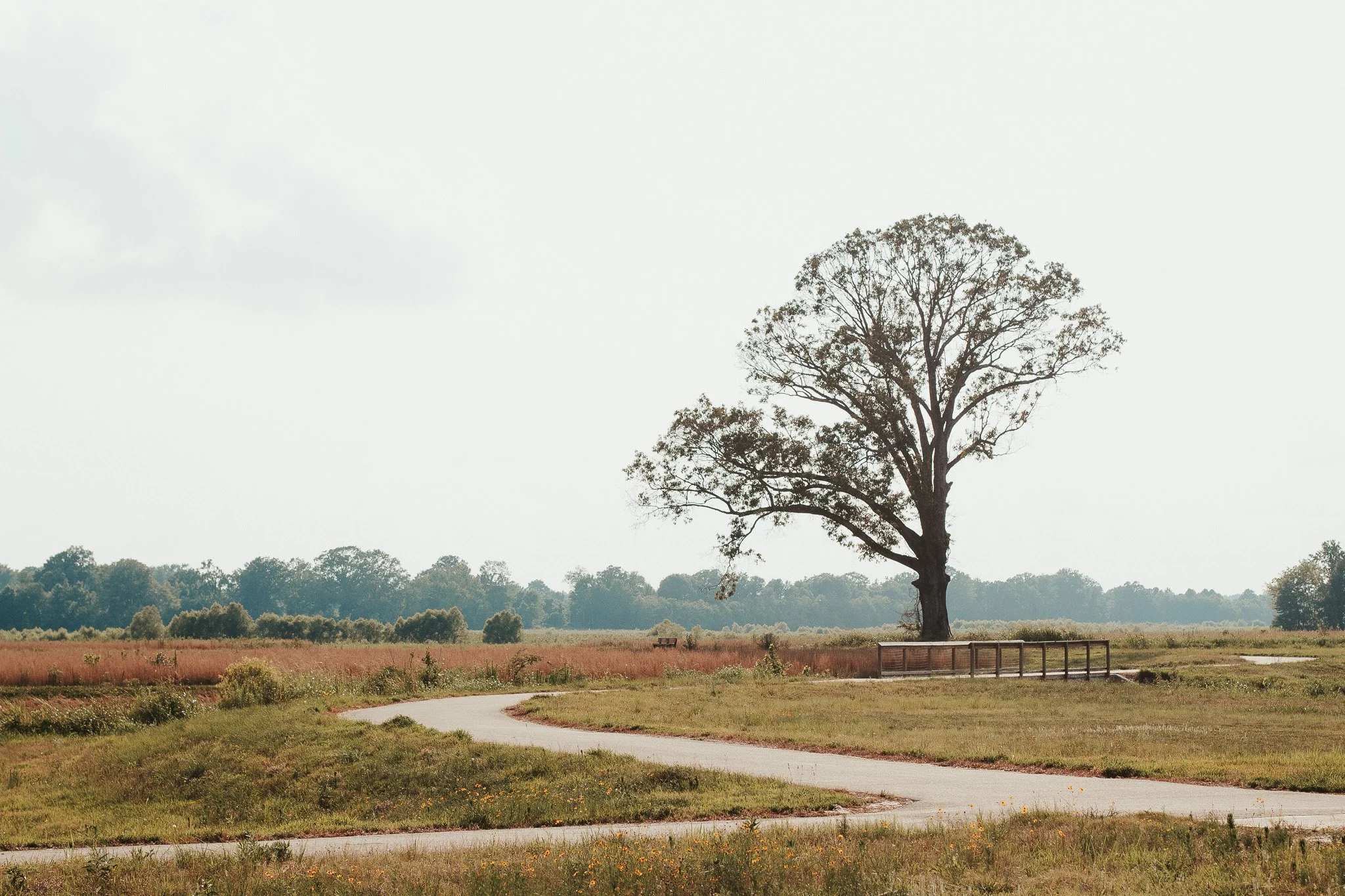 Locations for Photography Sessions in Jackson TN