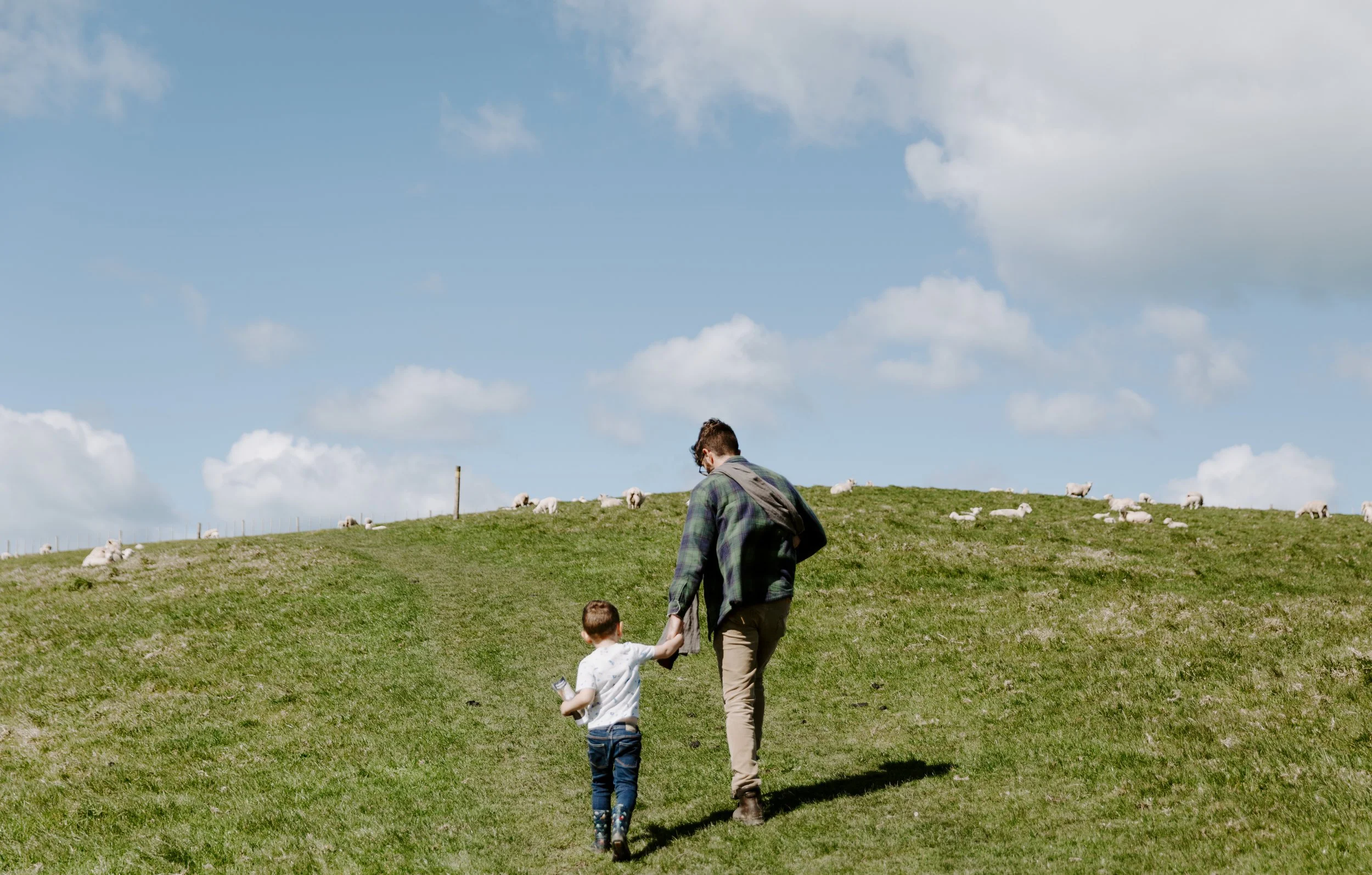 A GREAT OUTDOOR EXPLORE | AUCKLAND FAMILY SESSION