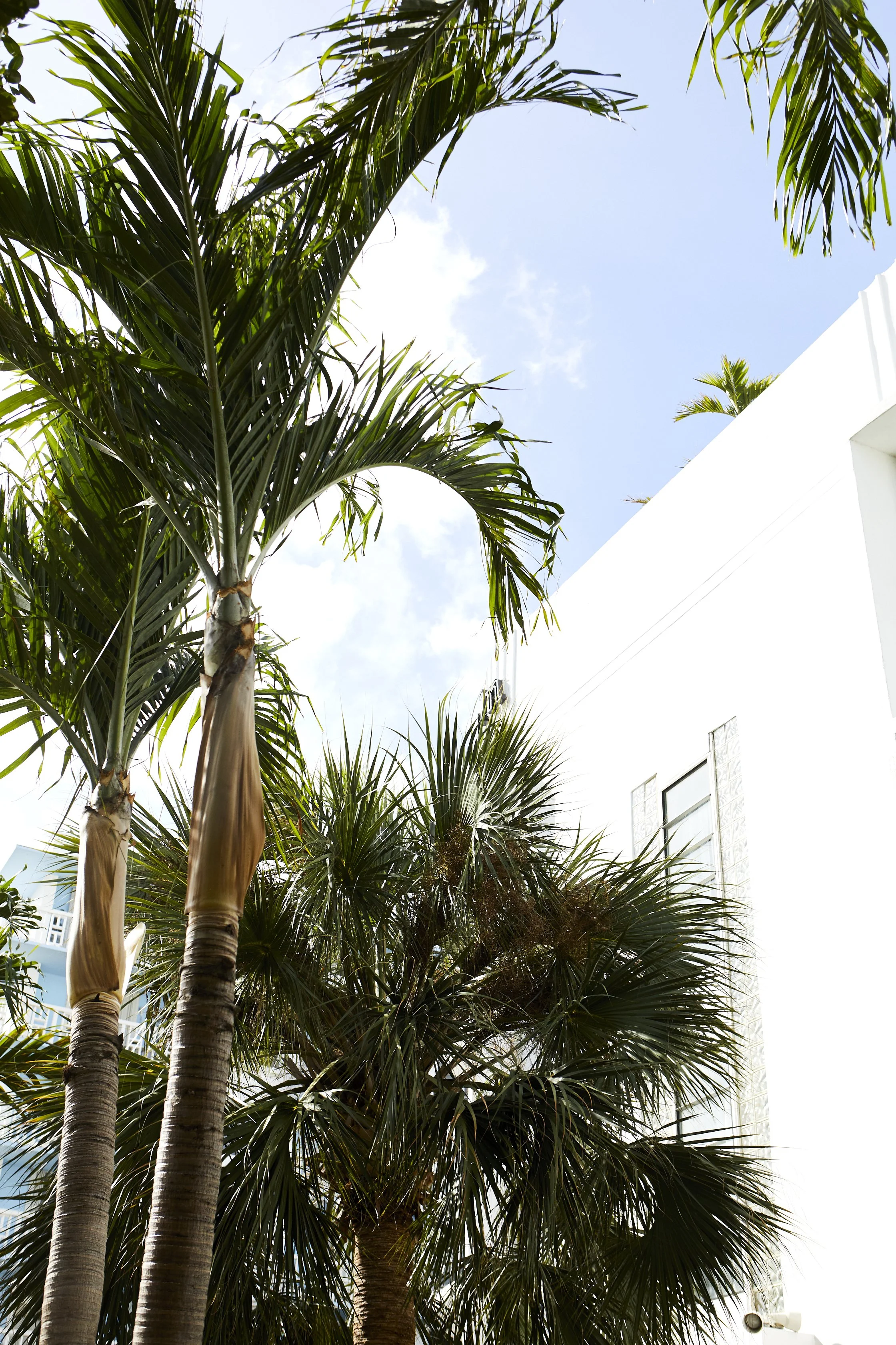 A QUICK TRIP TO MIAMI
