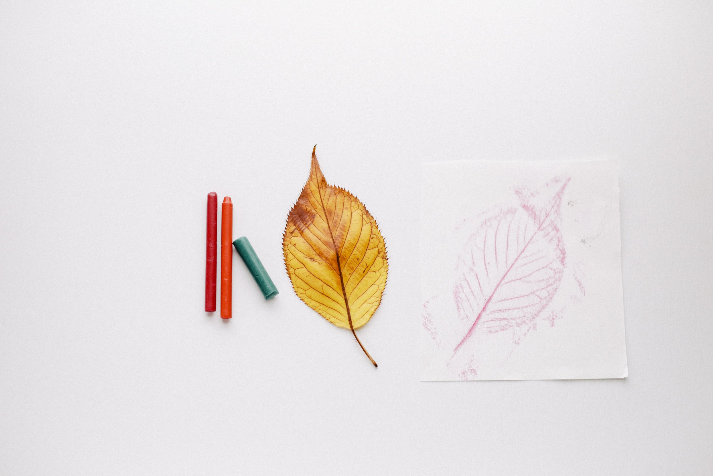 LEAF TRANSFER