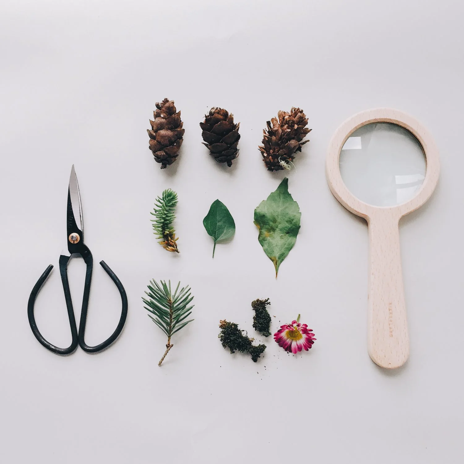 NATURE SCAVENGER HUNT