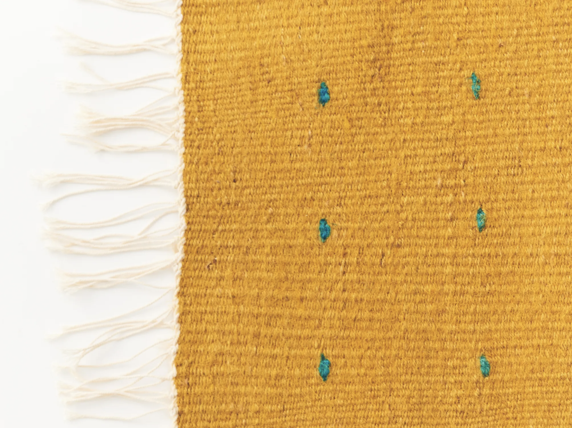 Screenshot 2026-04-12 at 1.03.30 PM.png