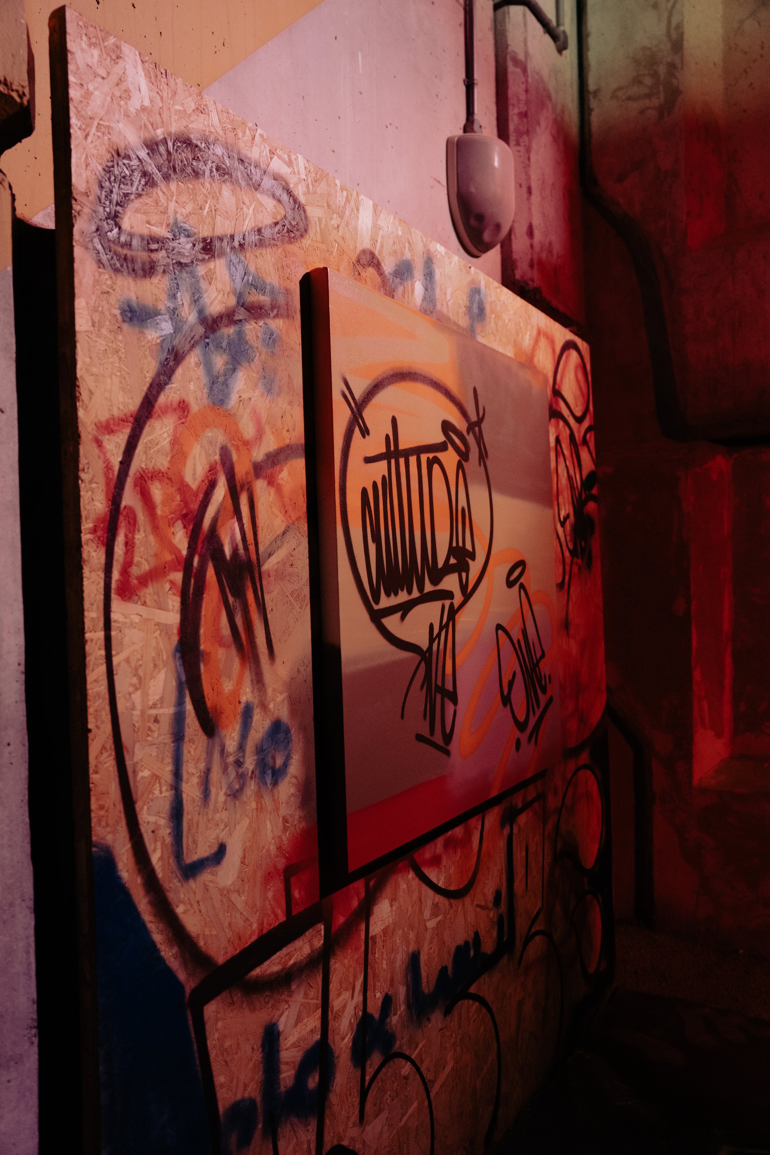 DSC04584.jpg