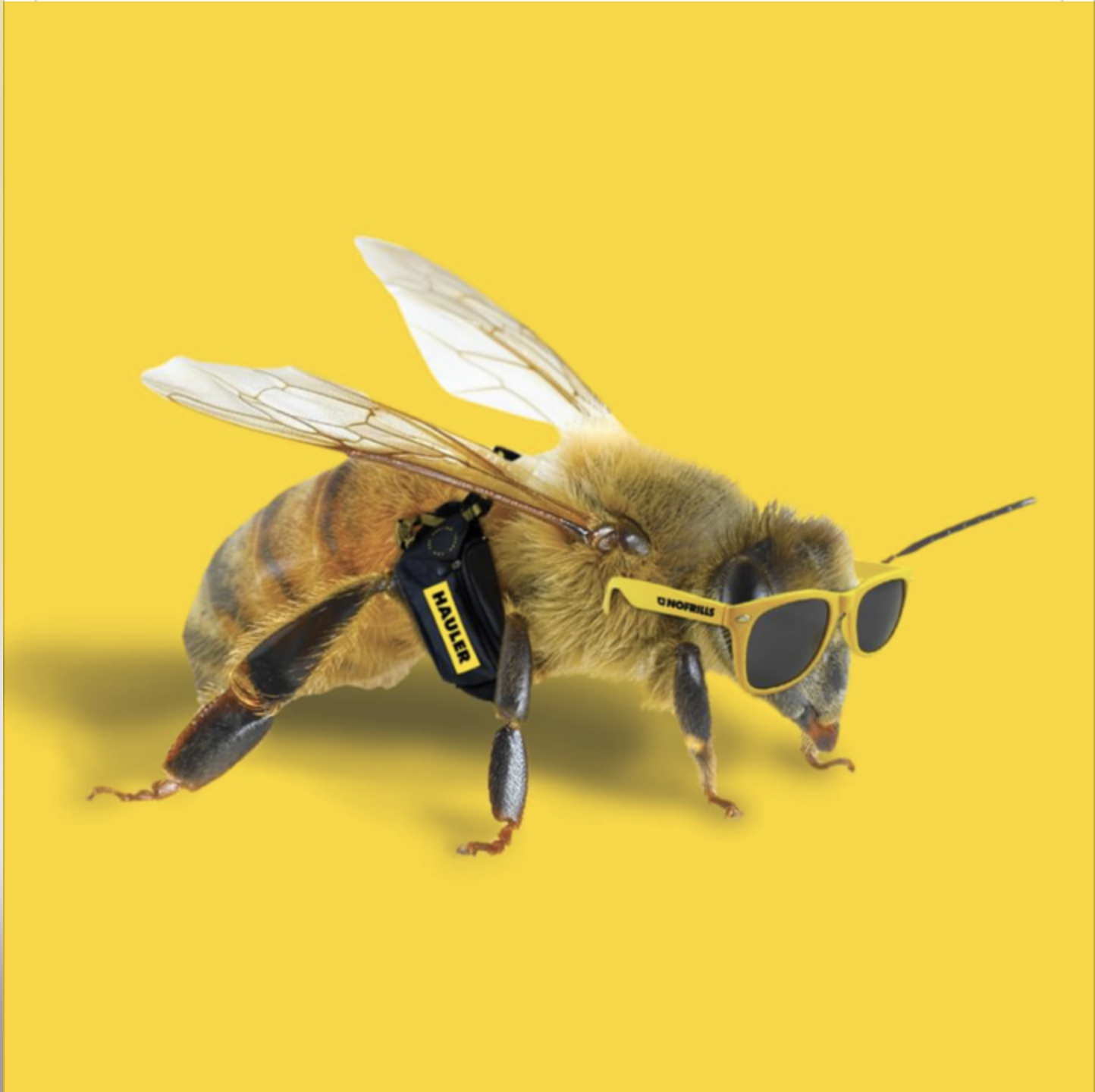 BEE.png